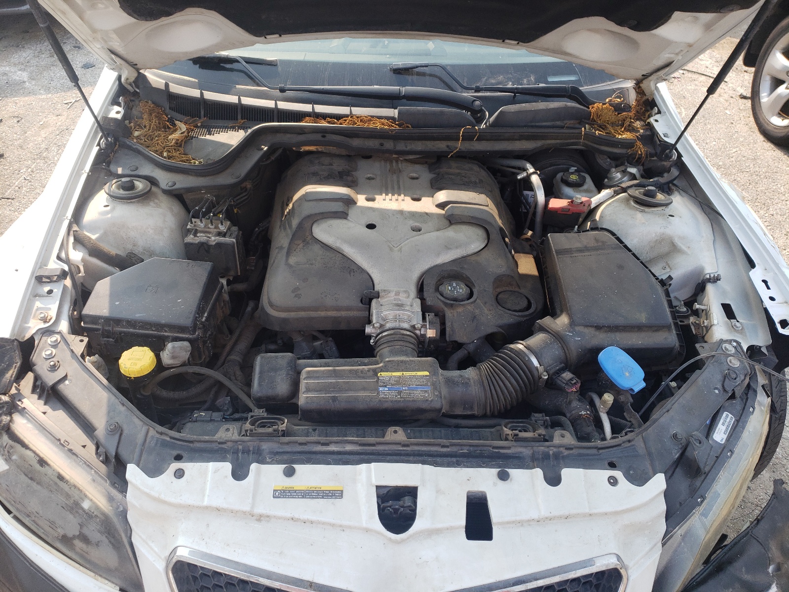 Photo 7 from auction – 2008 PONTIAC G8 with VIN 6G2ER57778L150958