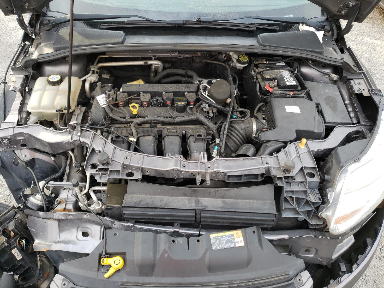 Photo 7 from auction – 2013 FORD FOCUS SE with VIN 1FADP3F25DL168718