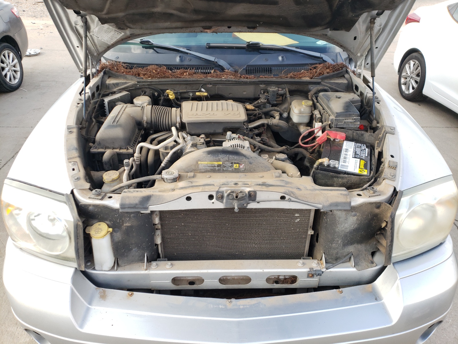 Photo 7 from auction – 2006 DODGE DAKOTA QUA with VIN 1D7HE48N56S599914