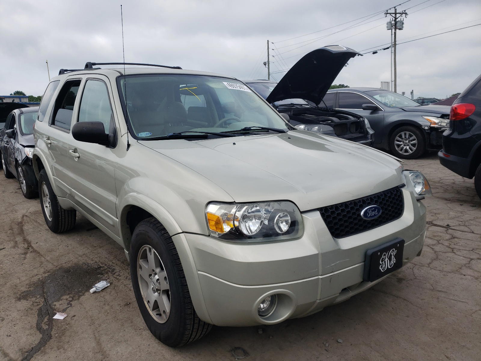 FORD ESCAPE LIM 2005 with VIN 1FMCU04185KA94222 - Photo from auction