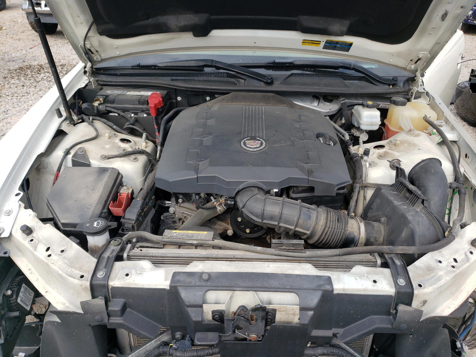Photo 7 from auction – 2010 CADILLAC STS with VIN 1G6DU6EV1A0105356
