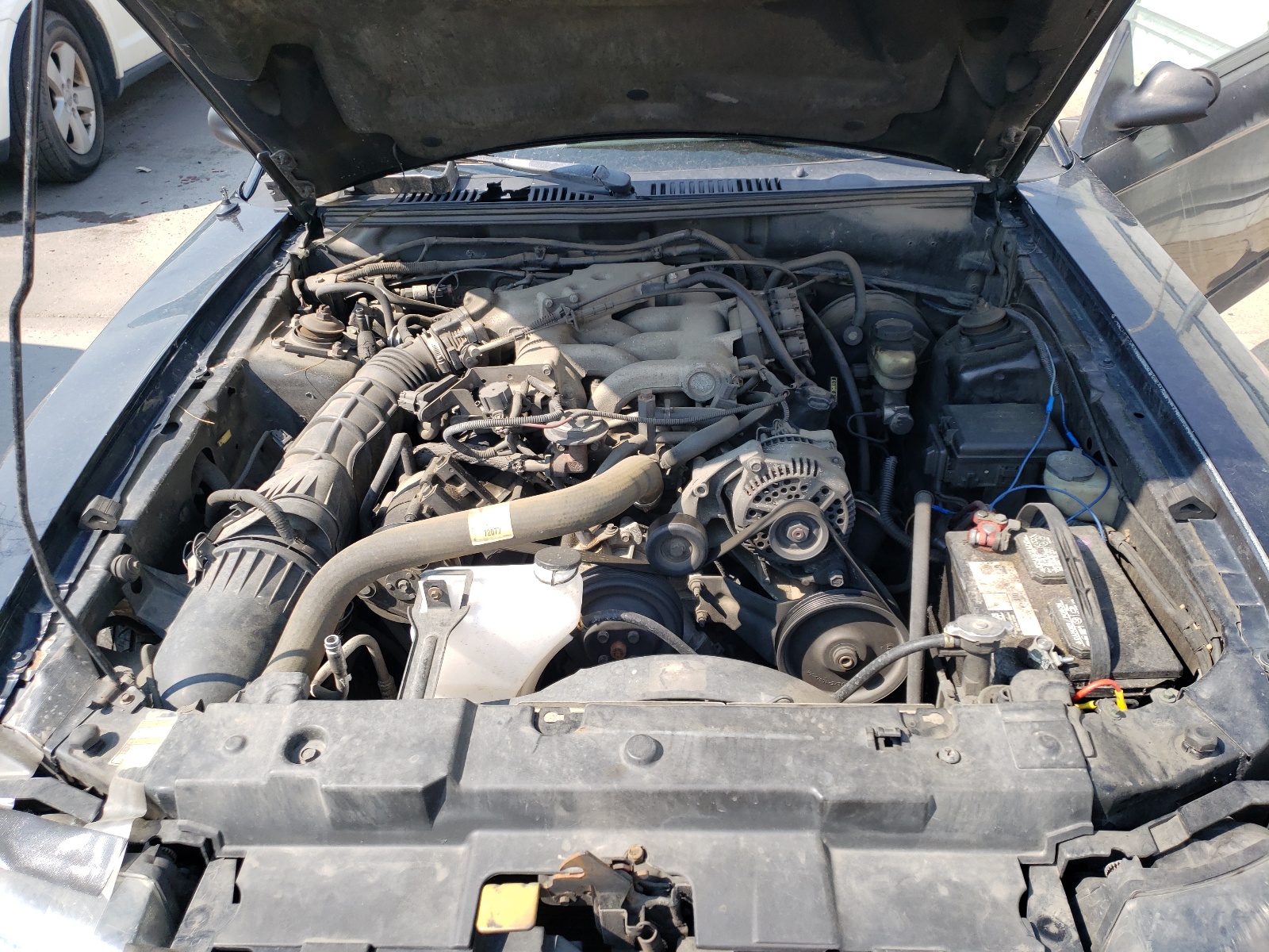 Photo 7 from auction – 1999 FORD MUSTANG with VIN 1FAFP4044XF146267
