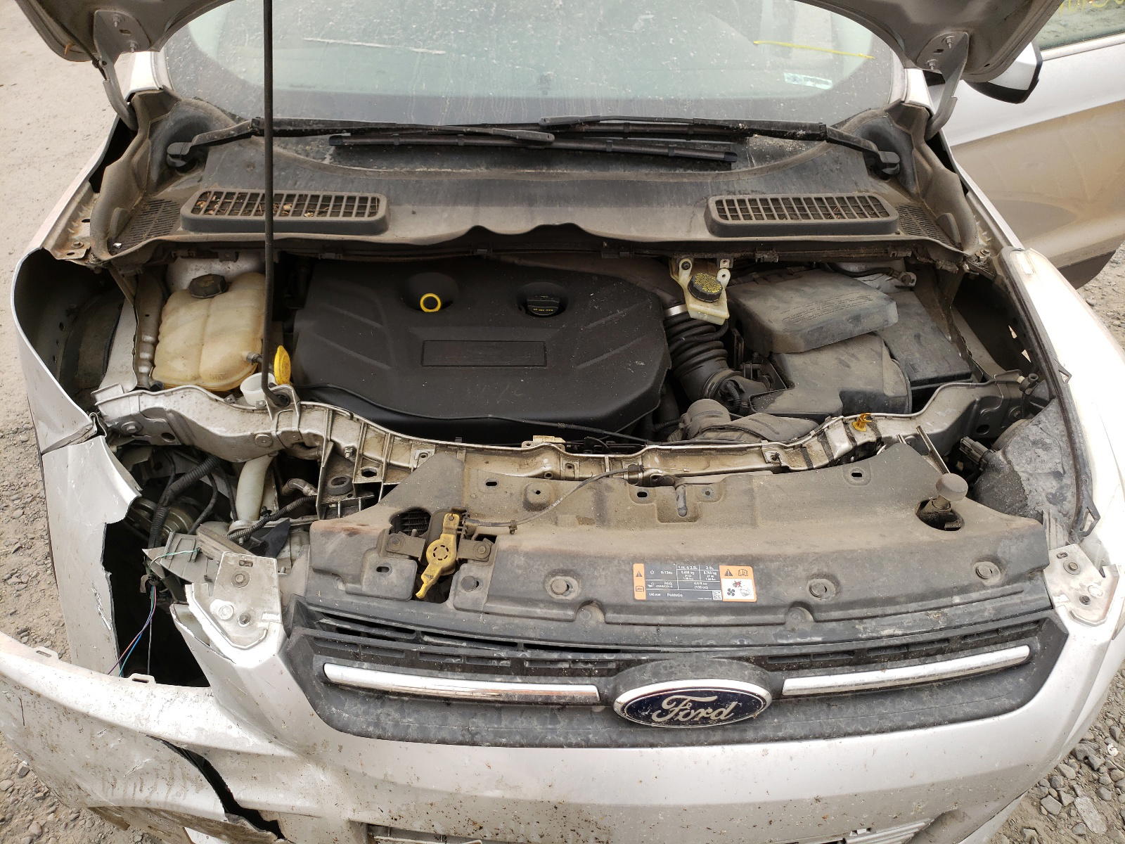 Photo 7 from auction – 2014 FORD ESCAPE SE with VIN 1FMCU0G96EUD72895