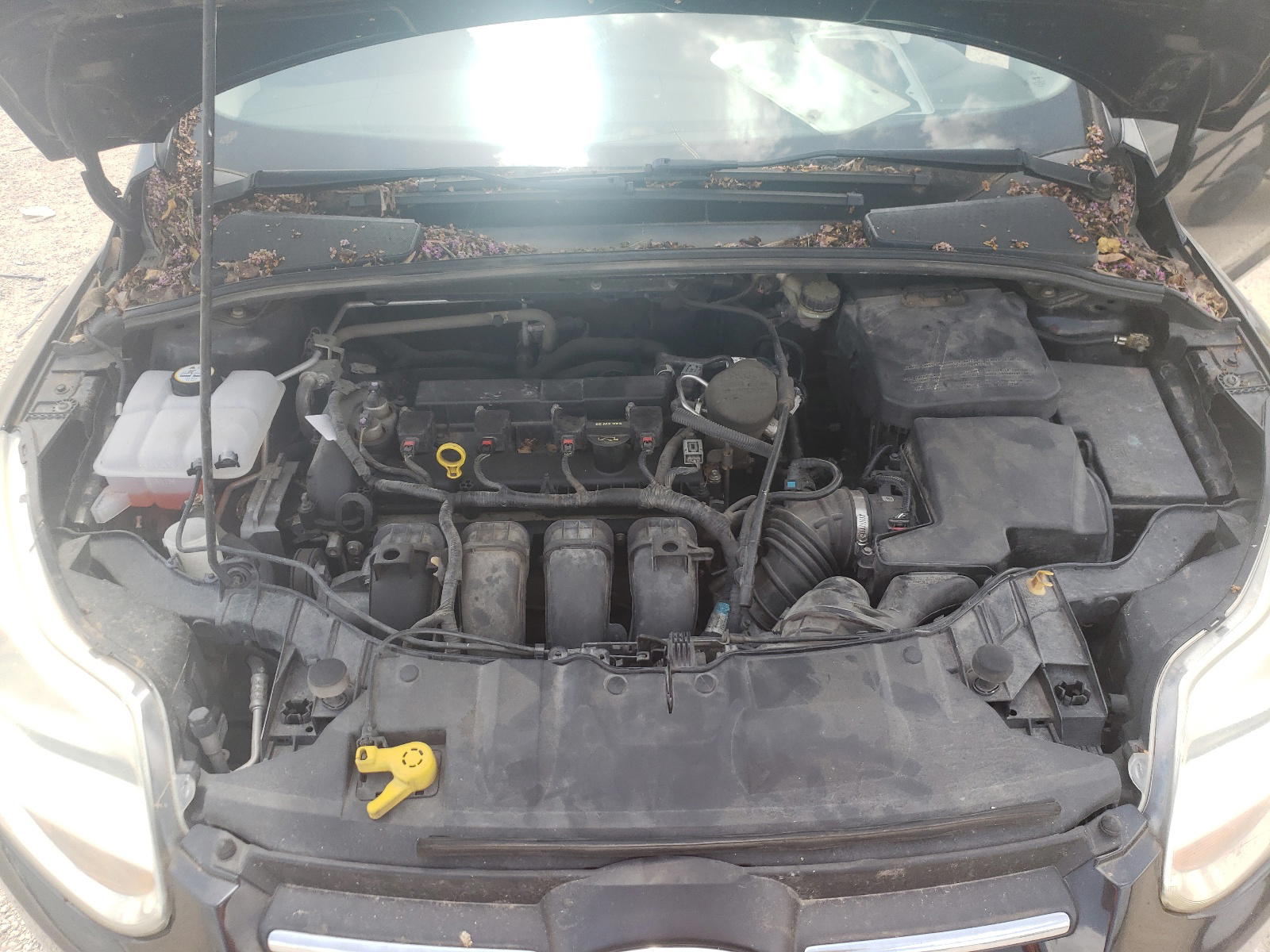 Photo 7 from auction – 2013 FORD FOCUS S with VIN 1FADP3E24DL361900