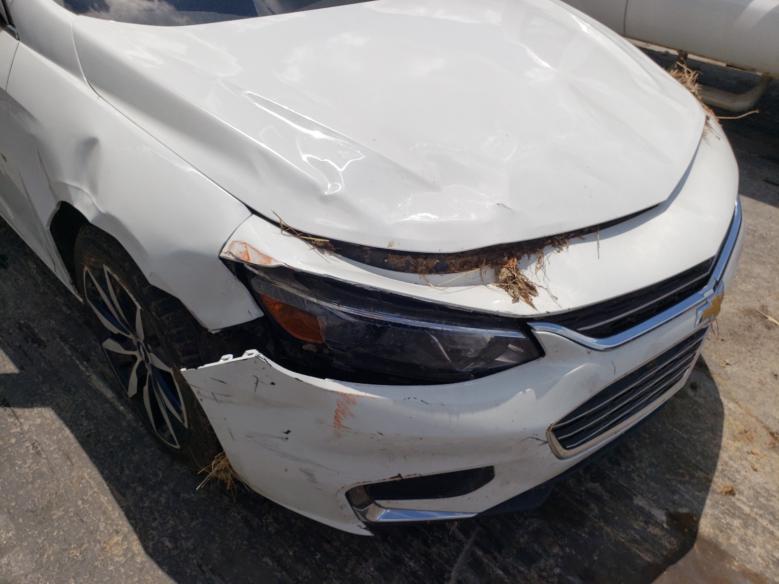 Photo 9 from auction – 2018 CHEVROLET MALIBU LT with VIN 1G1ZD5ST0JF282096