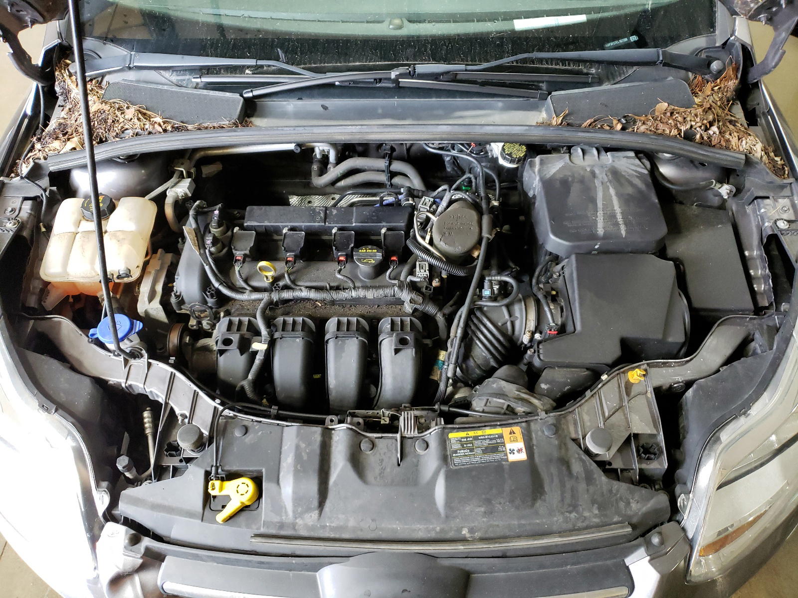 Photo 7 from auction – 2014 FORD FOCUS SE with VIN 1FADP3F27EL107209