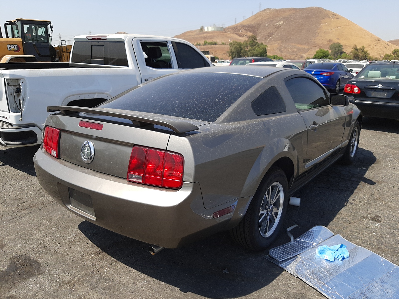 Photo 4 from auction – 2005 FORD MUSTANG with VIN 1ZVFT80N255122281