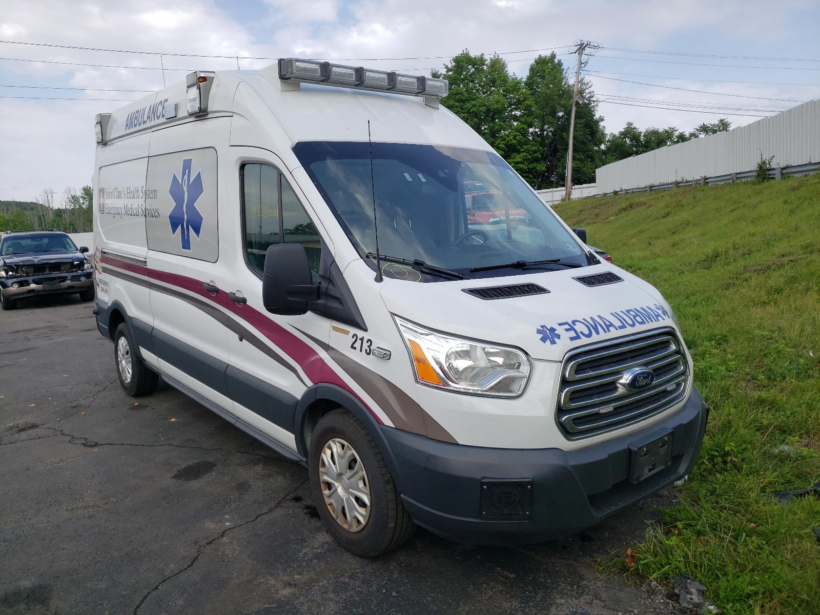 FORD TRANSIT T- 2016 with VIN 1FDBW2XVXGKB03778 - Photo from auction