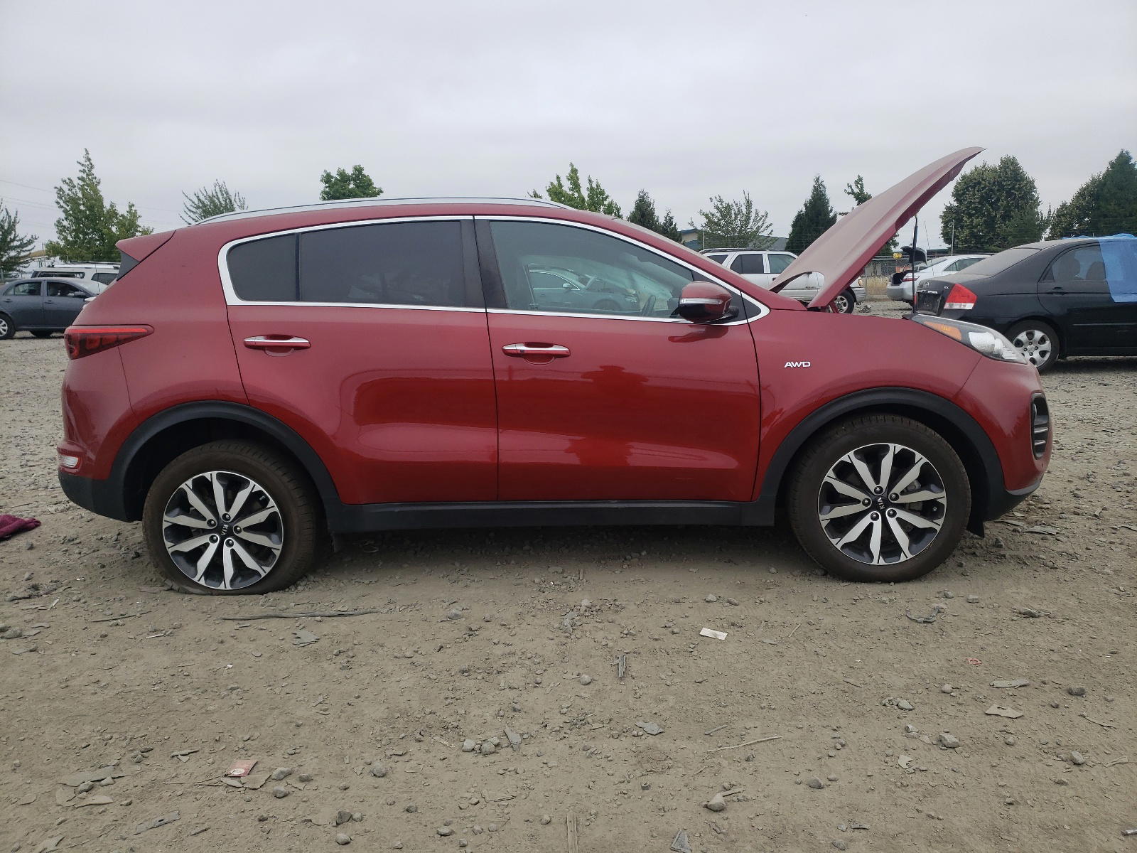 Photo 10 from auction – 2017 KIA SPORTAGE E with VIN KNDPNCAC7H7253748