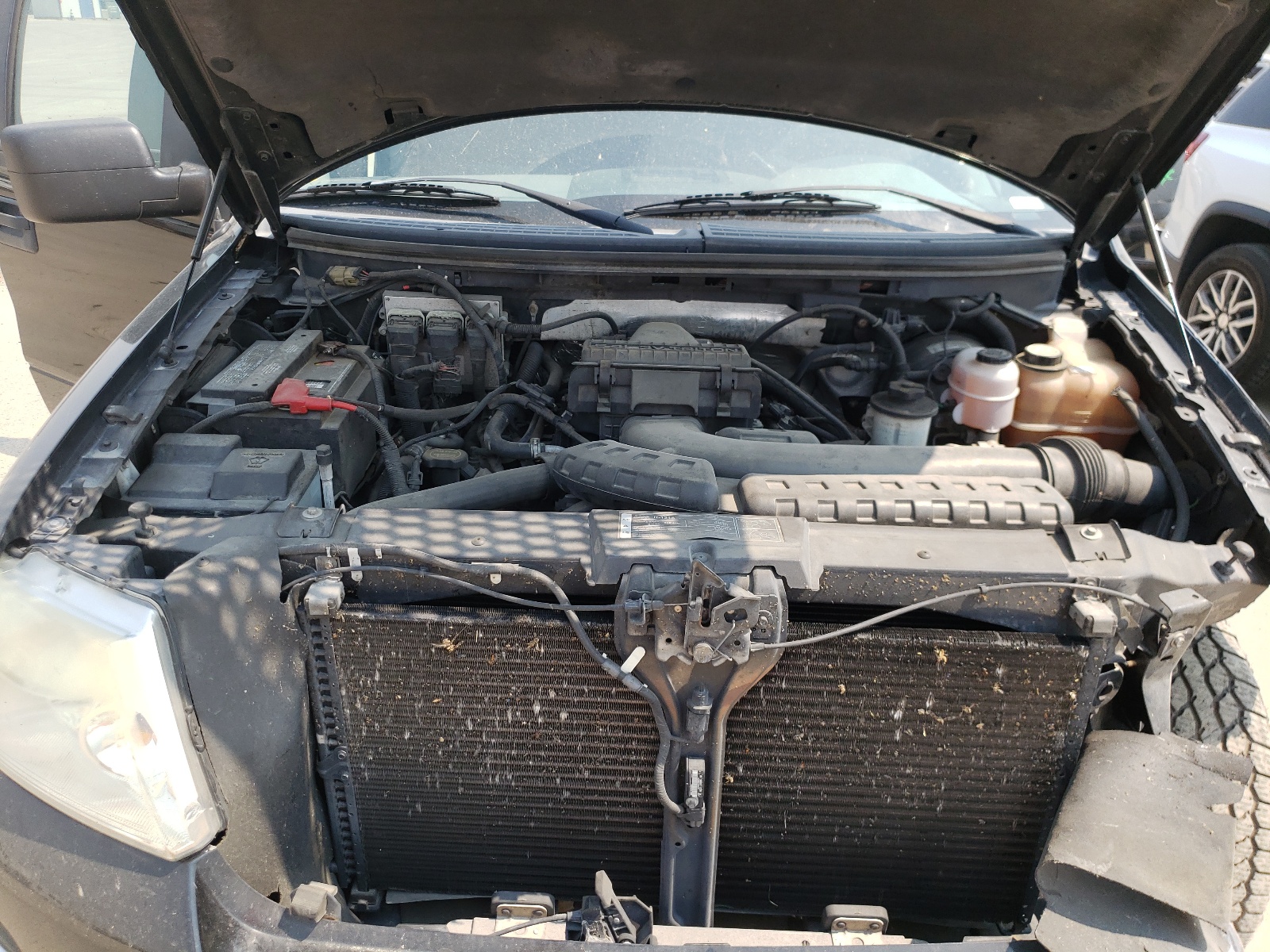 Photo 7 from auction – 2008 FORD F150 SUPER with VIN 1FTPW14V48KC50477