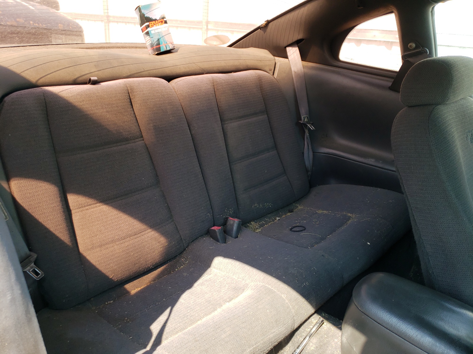 Photo 6 from auction – 1999 FORD MUSTANG with VIN 1FAFP4044XF146267