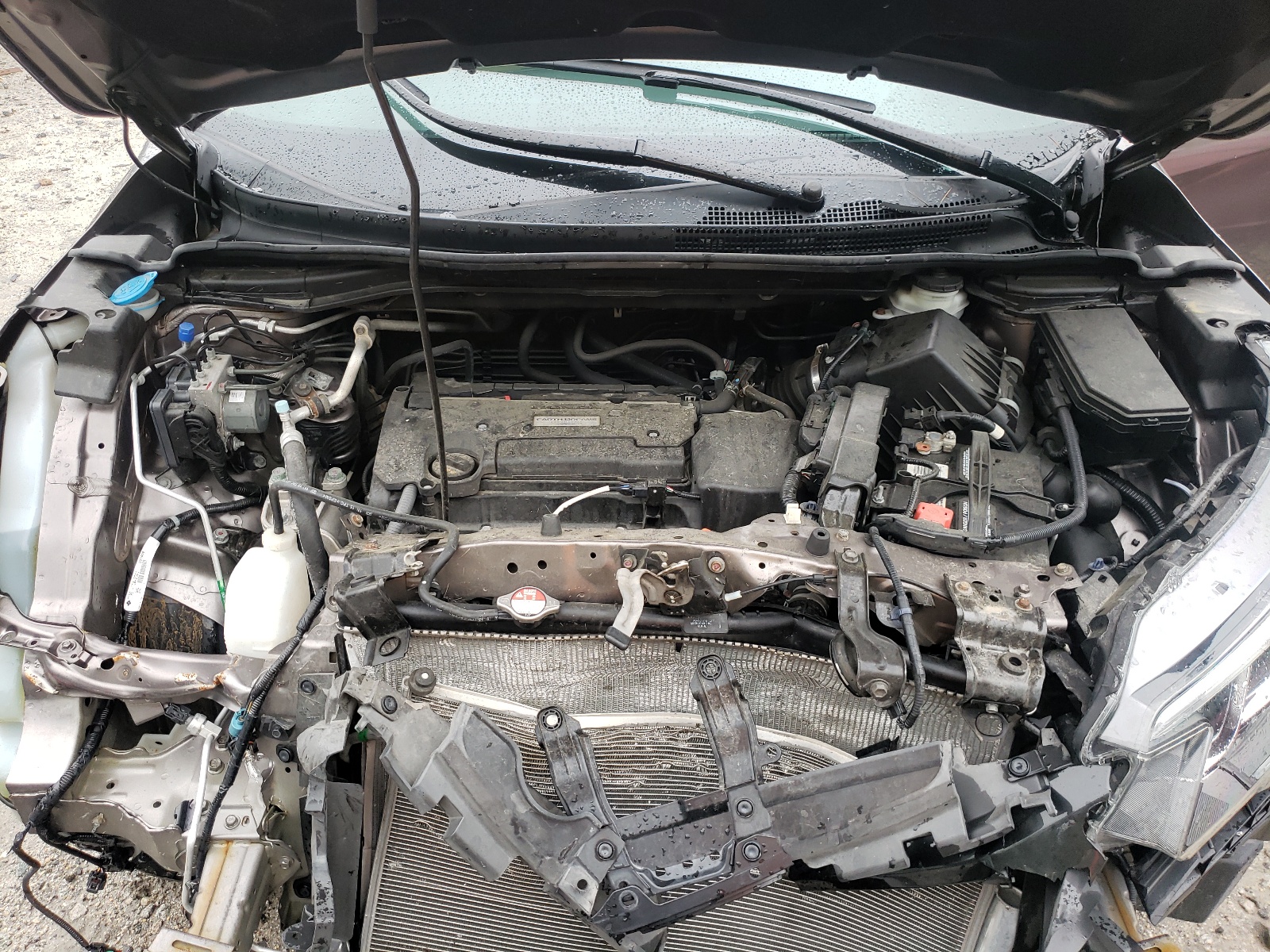 Photo 7 from auction – 2016 HONDA CR-V EXL with VIN 5J6RM4H75GL061853