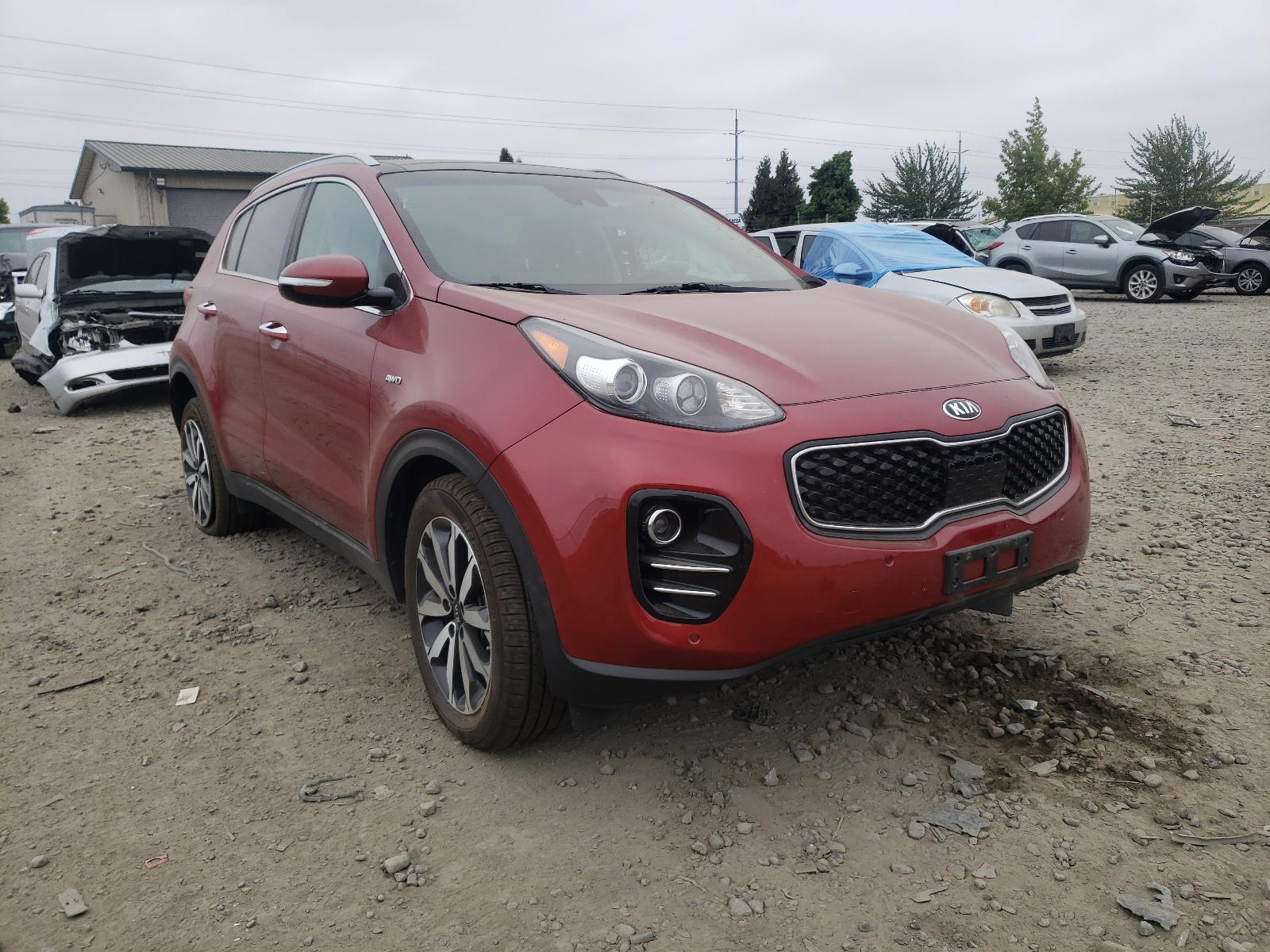 KIA SPORTAGE E 2017 with VIN KNDPNCAC7H7253748 - Photo from auction