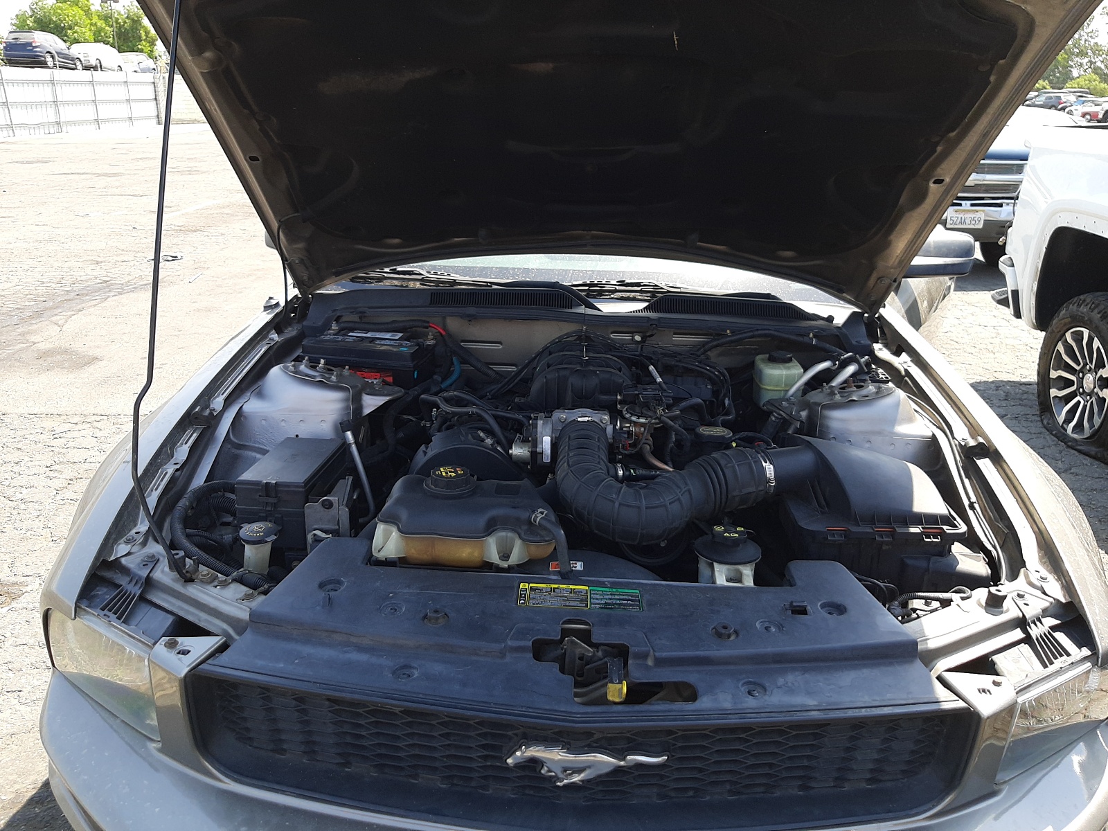 Photo 7 from auction – 2005 FORD MUSTANG with VIN 1ZVFT80N255122281