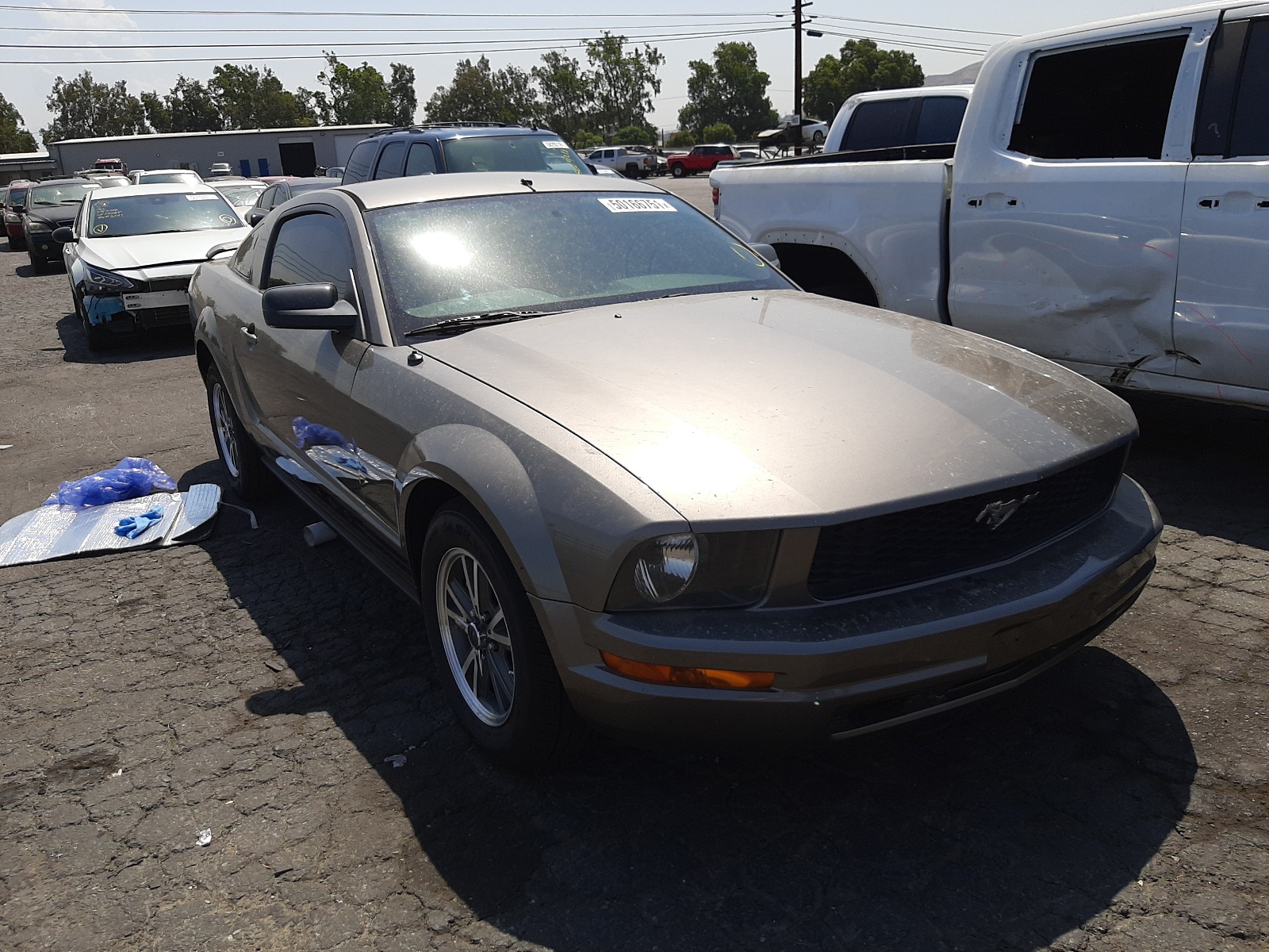 Photo 1 from auction – 2005 FORD MUSTANG with VIN 1ZVFT80N255122281