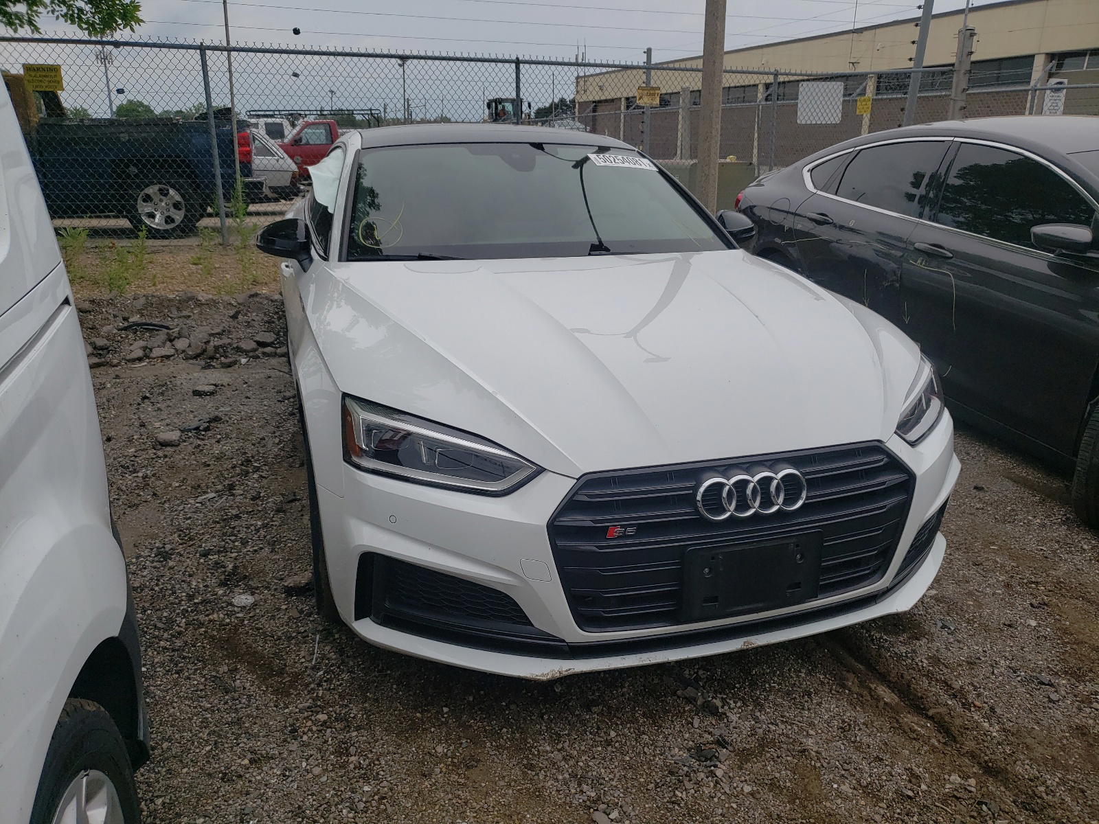 AUDI S5 PREMIUM 2019 with VIN WAUB4CF51KA005137 - Photo from auction