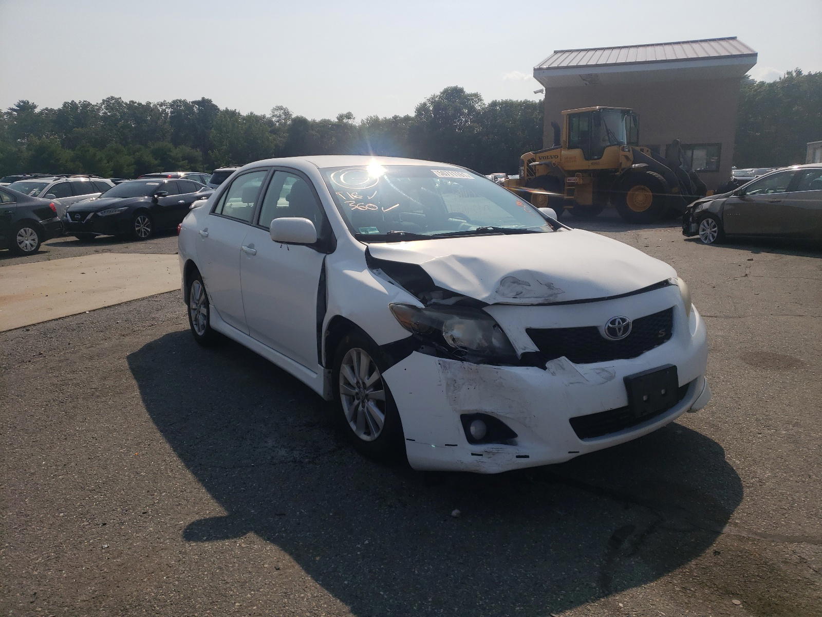 TOYOTA COROLLA BA 2010 with VIN 2T1BU4EEXAC254007 - Photo from auction