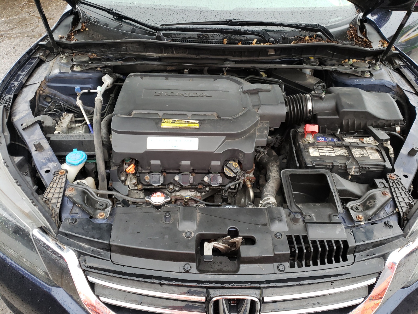 Photo 7 from auction – 2014 HONDA ACCORD EXL with VIN 1HGCR3F89EA007761