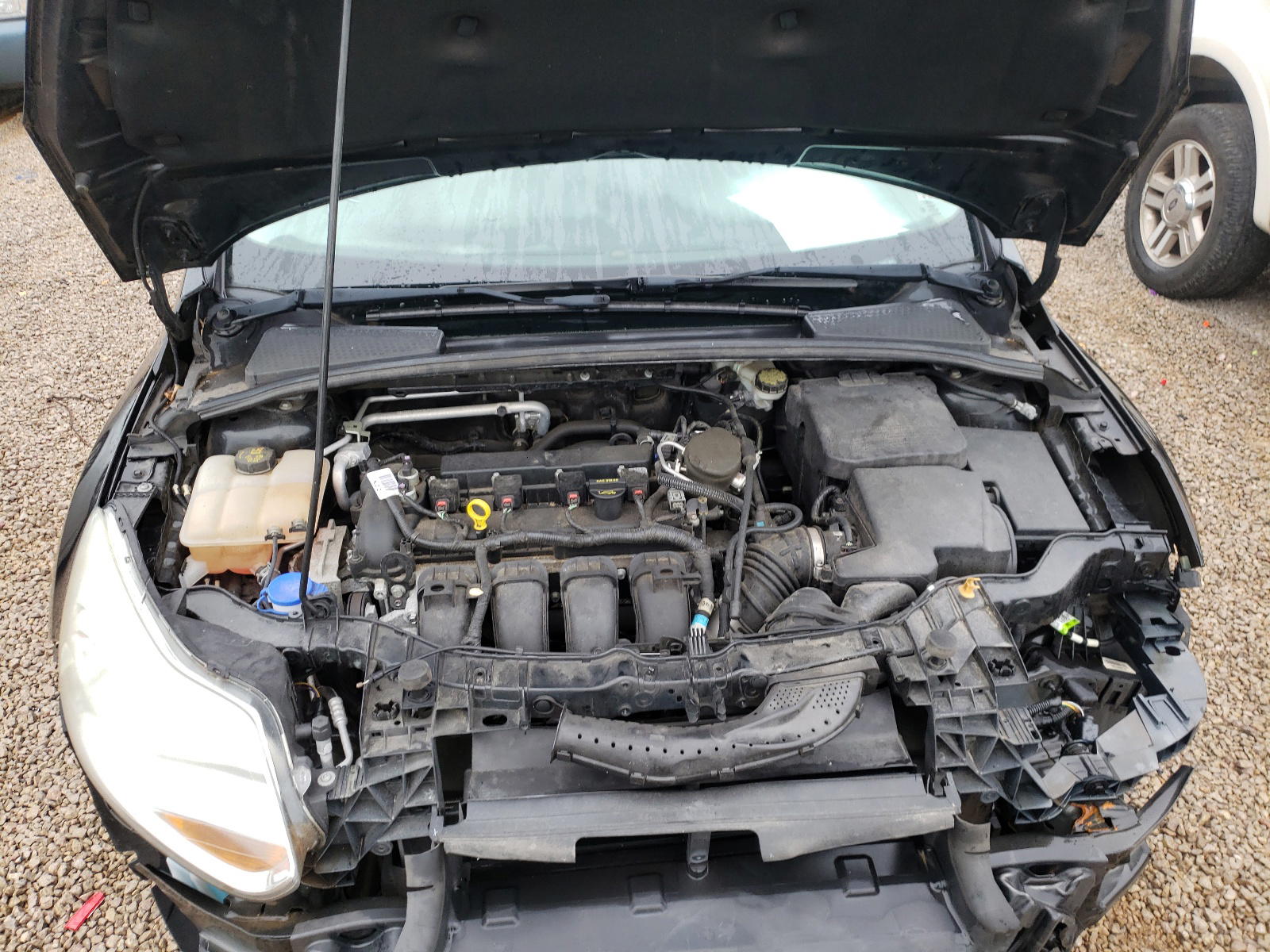Photo 7 from auction – 2014 FORD FOCUS SE with VIN 1FADP3K27EL244009