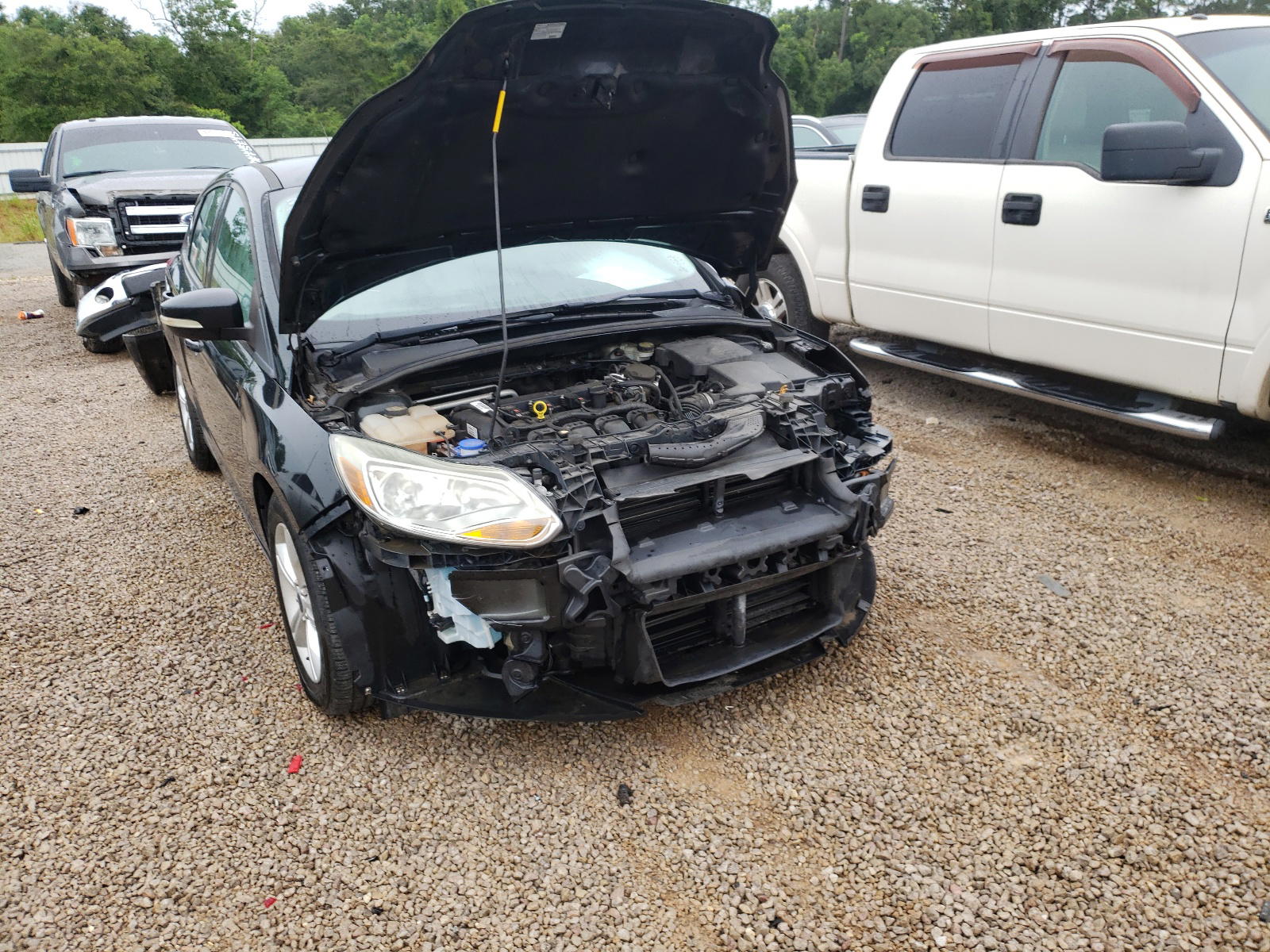 Photo 9 from auction – 2014 FORD FOCUS SE with VIN 1FADP3K27EL244009