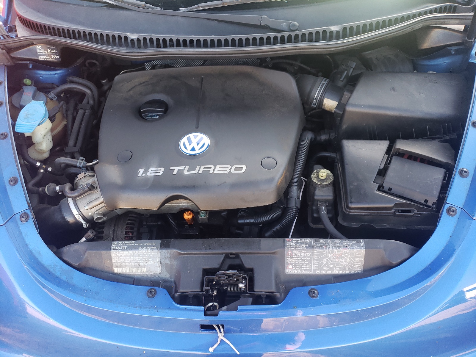 Photo 7 from auction – 2000 VOLKSWAGEN NEW BEETLE with VIN 3VWDD21C0YM437979