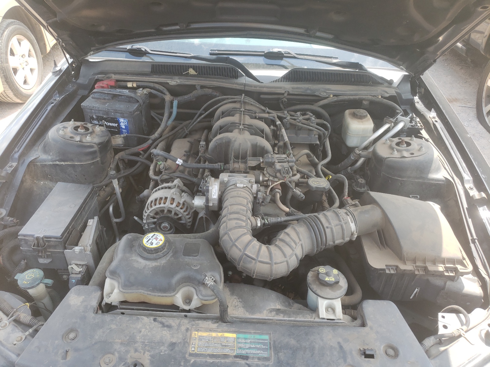 Photo 7 from auction – 2007 FORD MUSTANG with VIN 1ZVFT80N375305322
