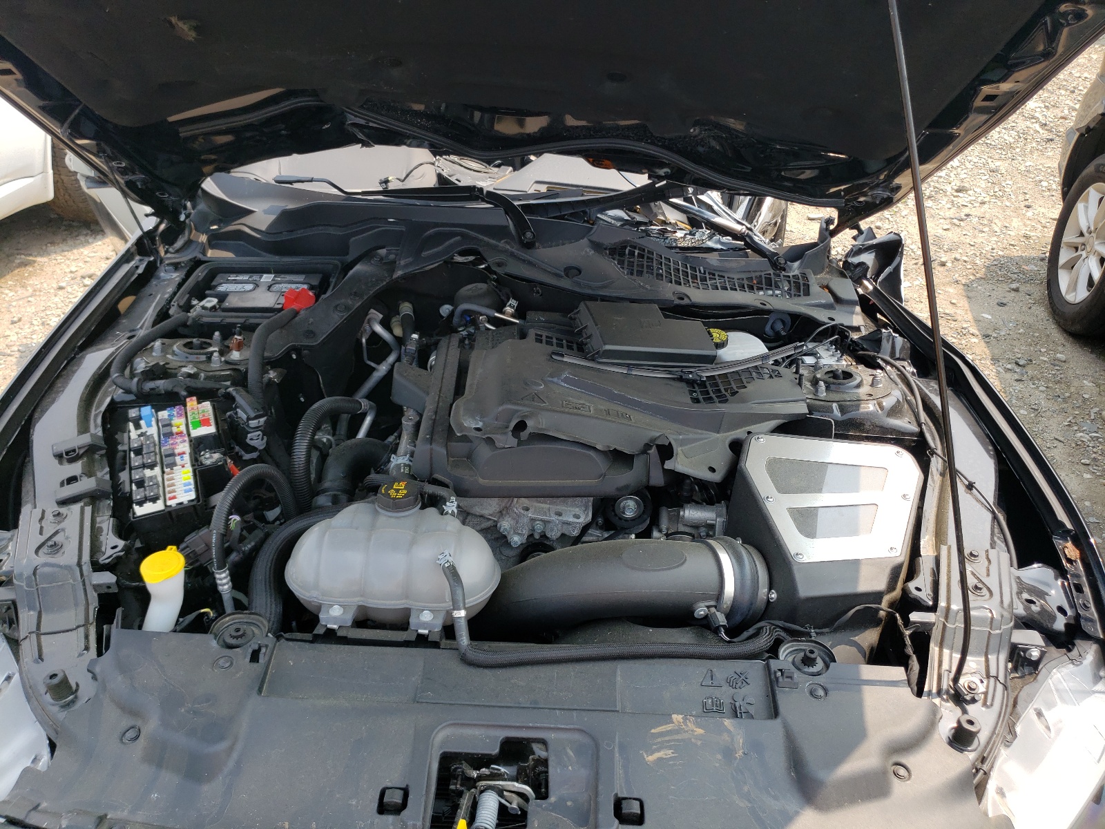 Photo 7 from auction – 2019 FORD MUSTANG with VIN 1FA6P8TH6K5193692