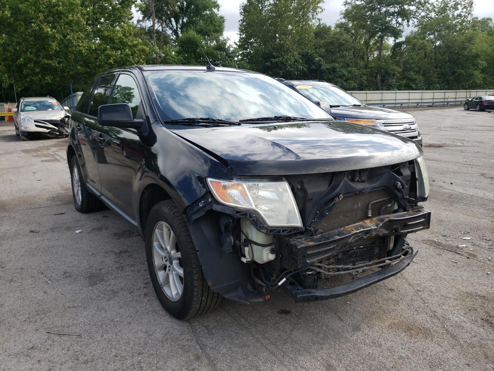 FORD EDGE SEL 2007 with VIN 2FMDK48C57BB69999 - Photo from auction