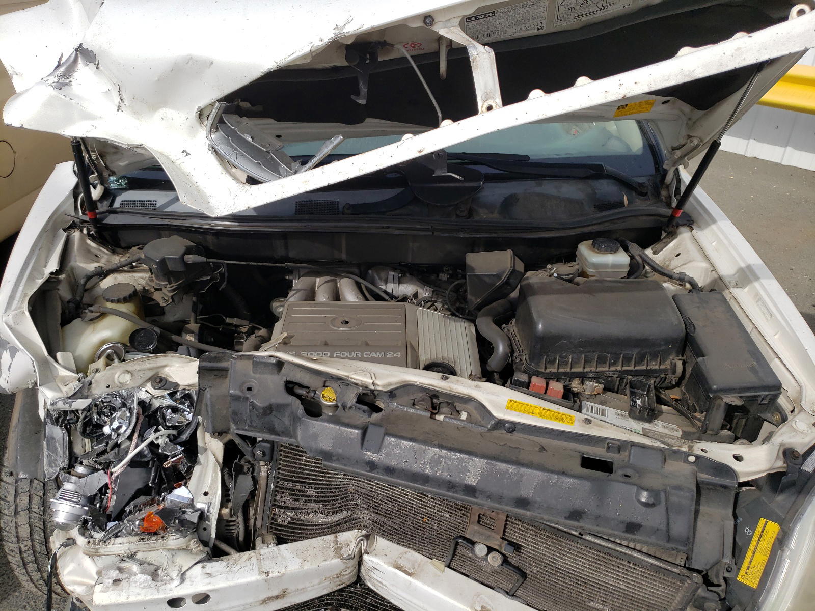 Photo 7 from auction – 2001 LEXUS RX 300 with VIN JTJGF10UX10084509