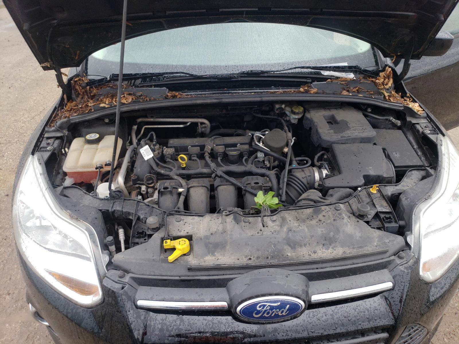 Photo 7 from auction – 2012 FORD FOCUS SE with VIN 1FAHP3K20CL255187
