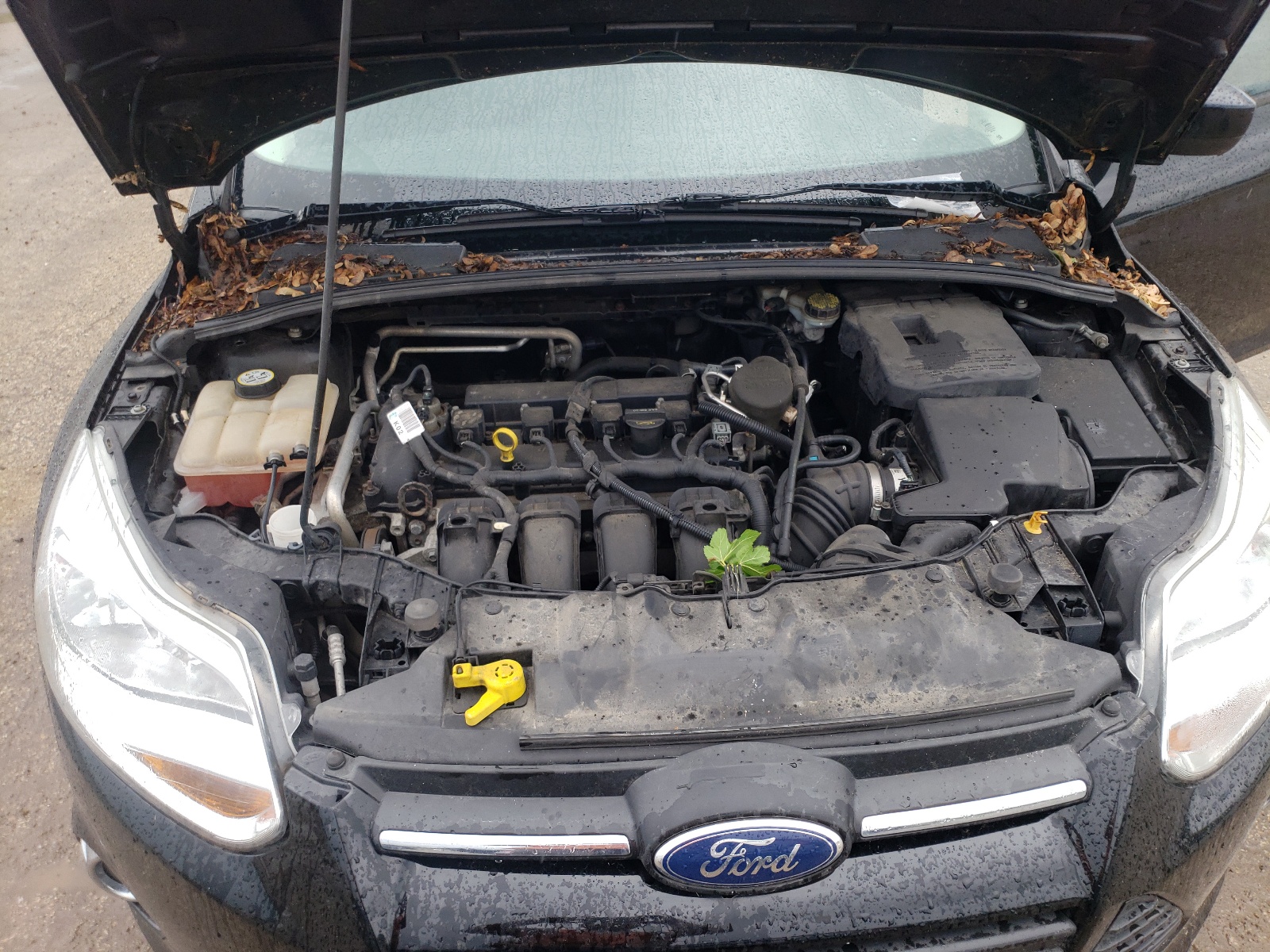 Foto 7 de la subasta – 2012 FORD FOCUS SE con VIN 1FAHP3K20CL255187