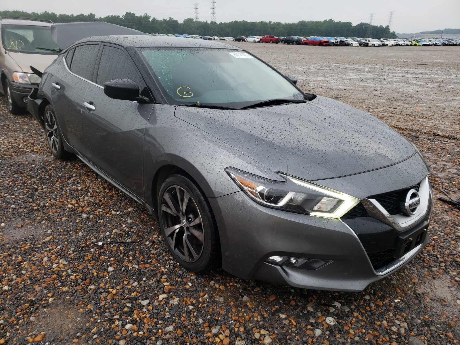 NISSAN MAXIMA 3.5 2017 with VIN 1N4AA6AP3HC397347 - Photo from auction