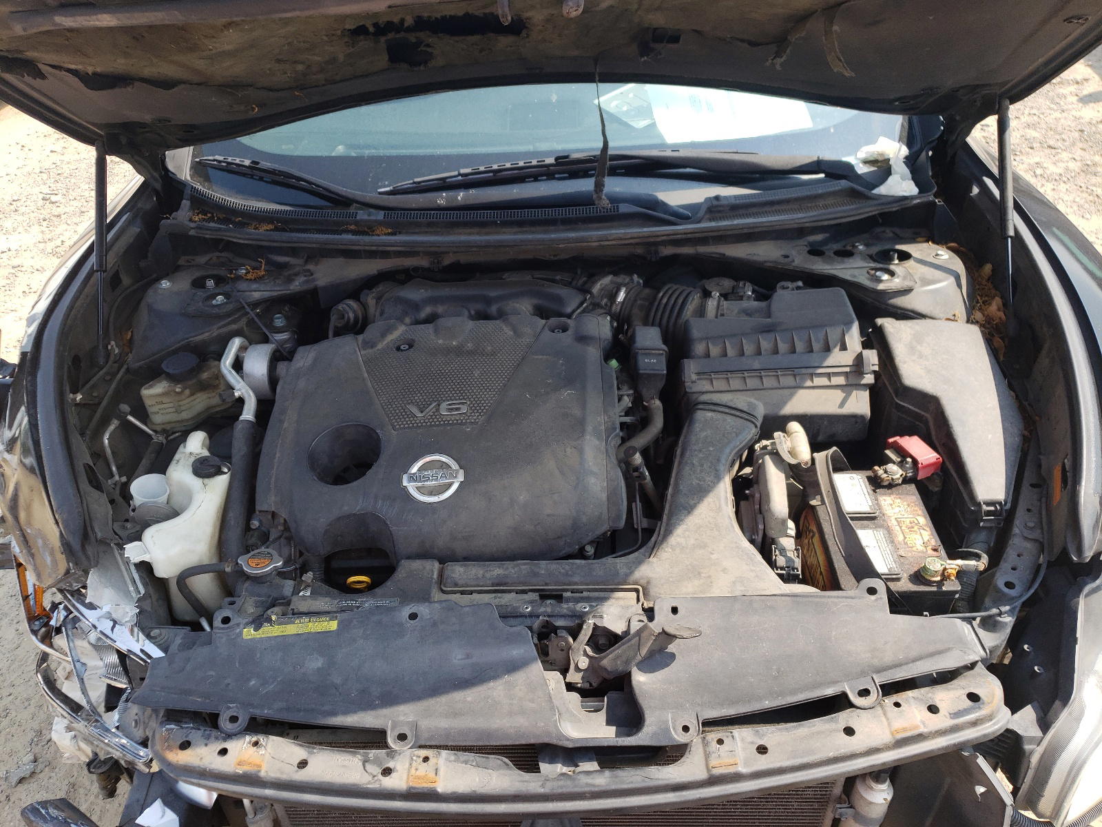 Photo 7 from auction – 2009 NISSAN MAXIMA S with VIN 1N4AA51E89C834592