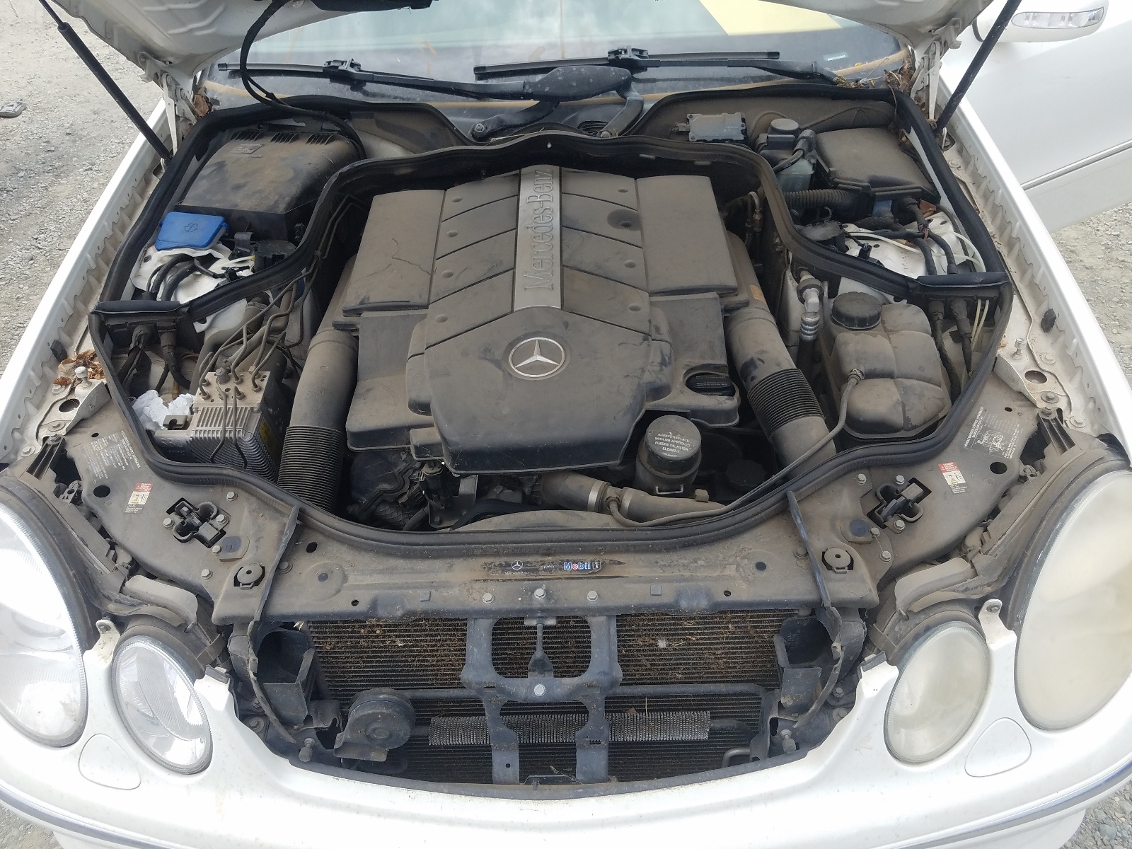 Photo 7 from auction – 2005 MERCEDES-BENZ E 500 with VIN WDBUF70J75A645682