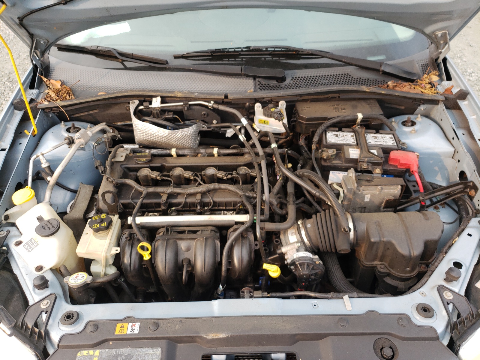 Photo 7 from auction – 2009 FORD FOCUS SE with VIN 1FAHP35N89W163855