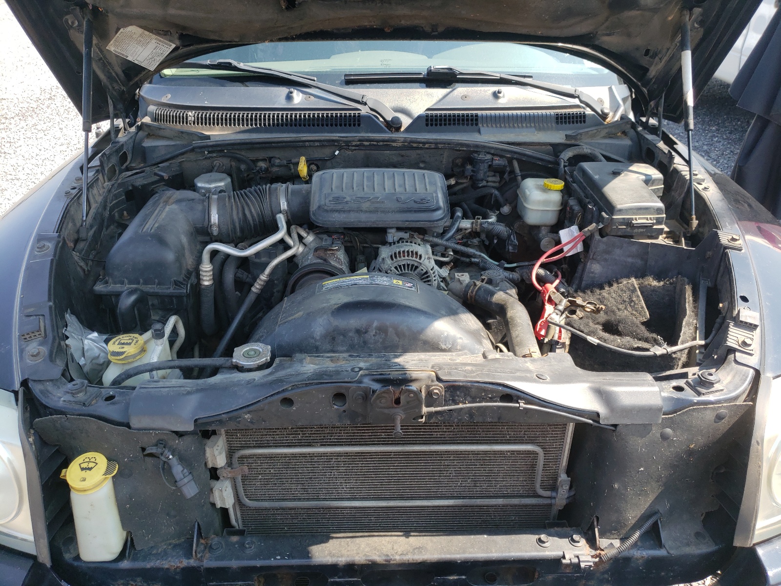 Photo 7 from auction – 2006 DODGE DAKOTA SLT with VIN 1D3HW42K86S561056