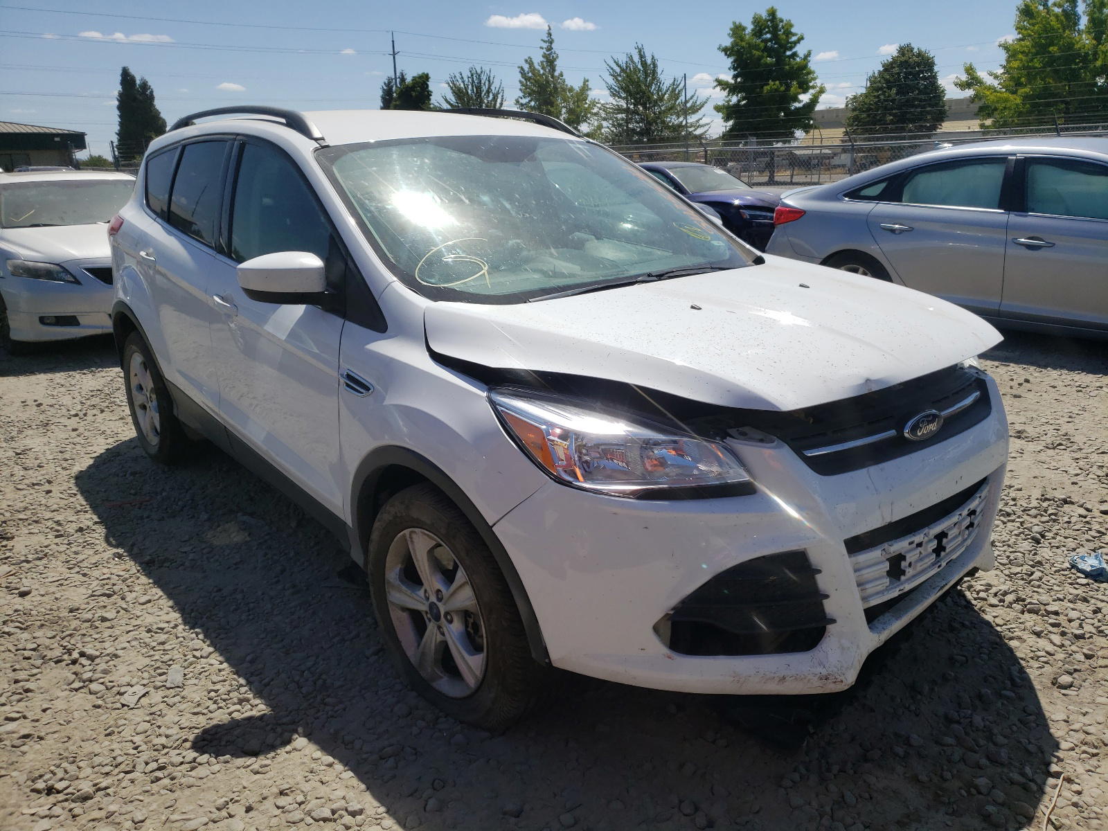 FORD ESCAPE SE 2014 with VIN 1FMCU9G90EUE14756 - Photo from auction