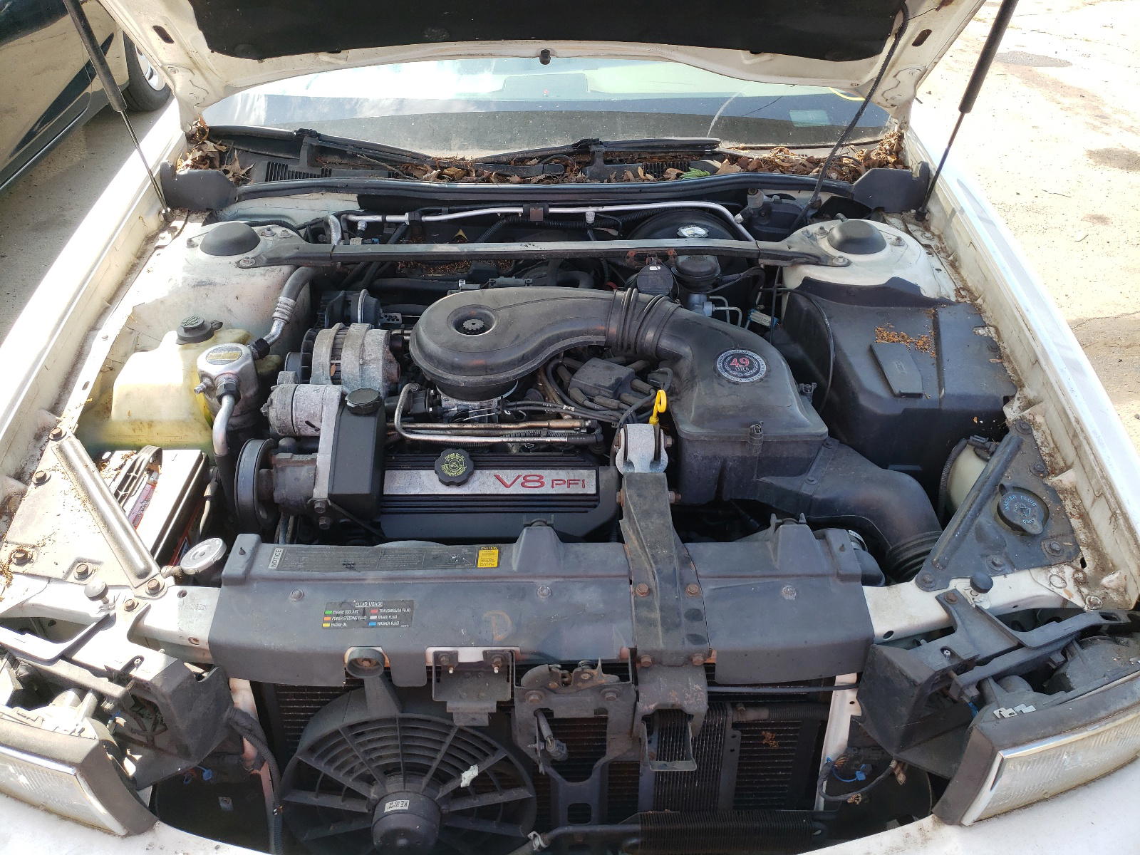 Photo 7 from auction – 1995 CADILLAC DEVILLE with VIN 1G6KD52B6SU305039