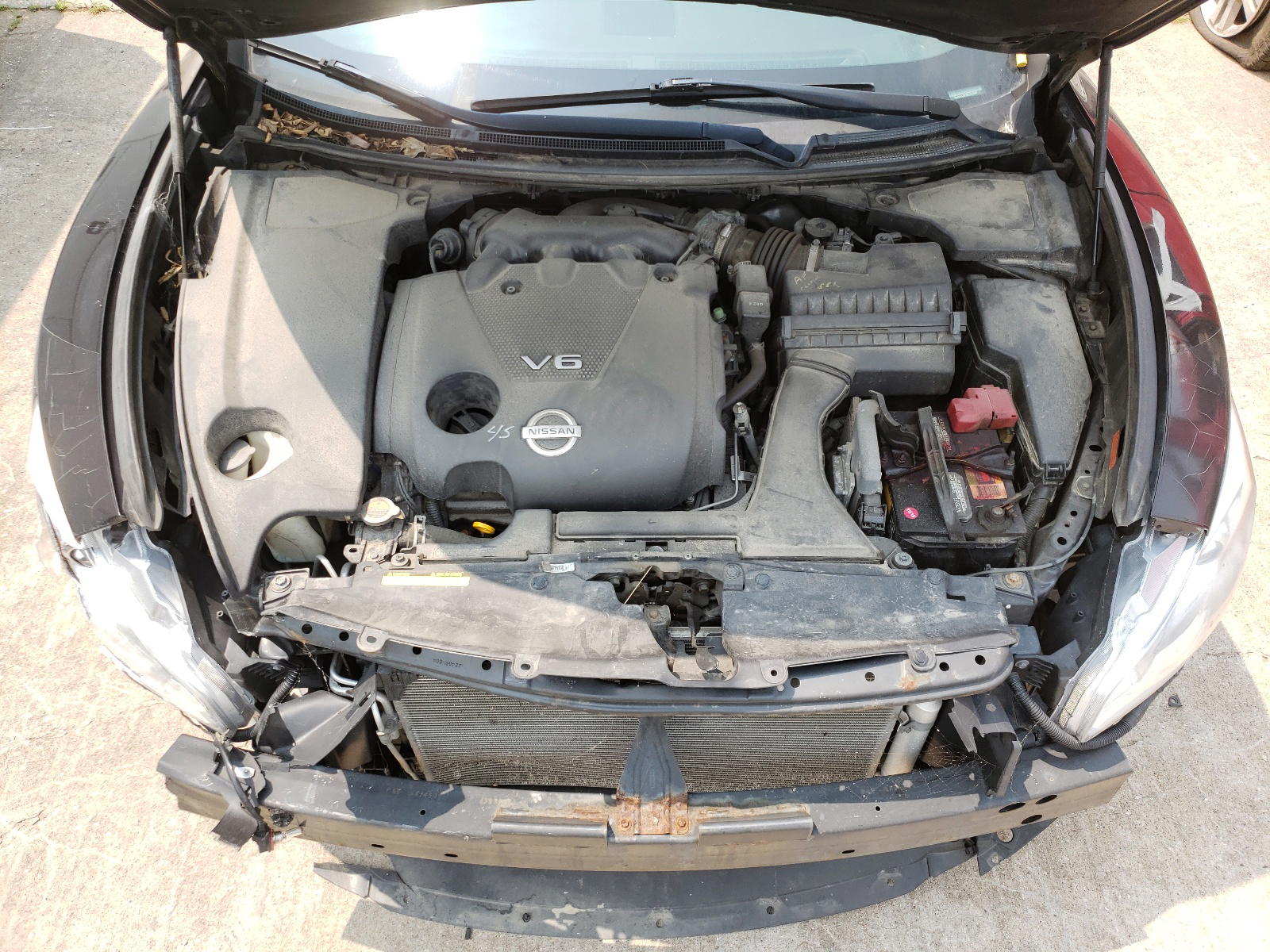 Photo 7 from auction – 2011 NISSAN MAXIMA S with VIN 1N4AA5AP6BC813988