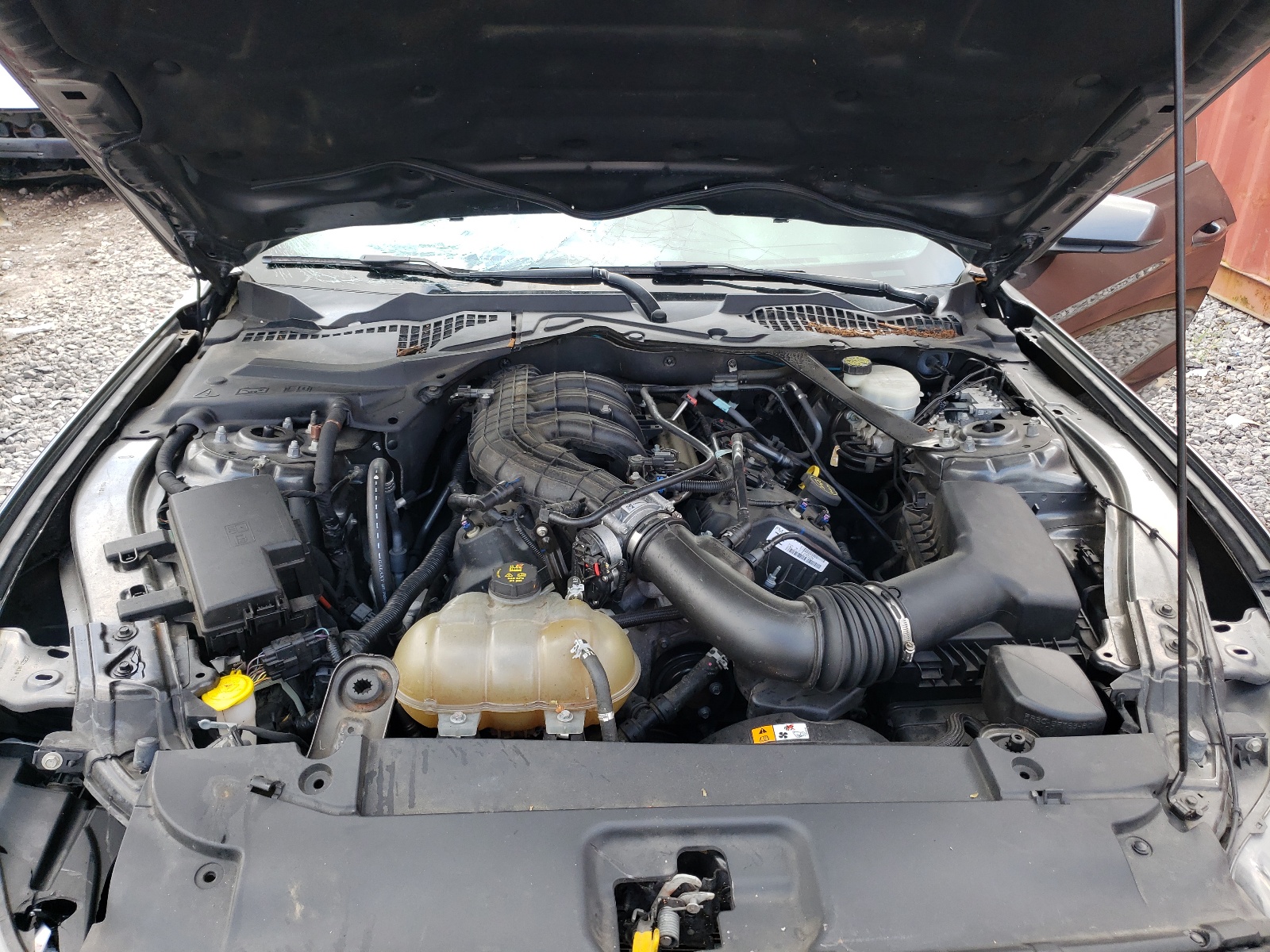 Photo 7 from auction – 2015 FORD MUSTANG with VIN 1FATP8EM4F5415374