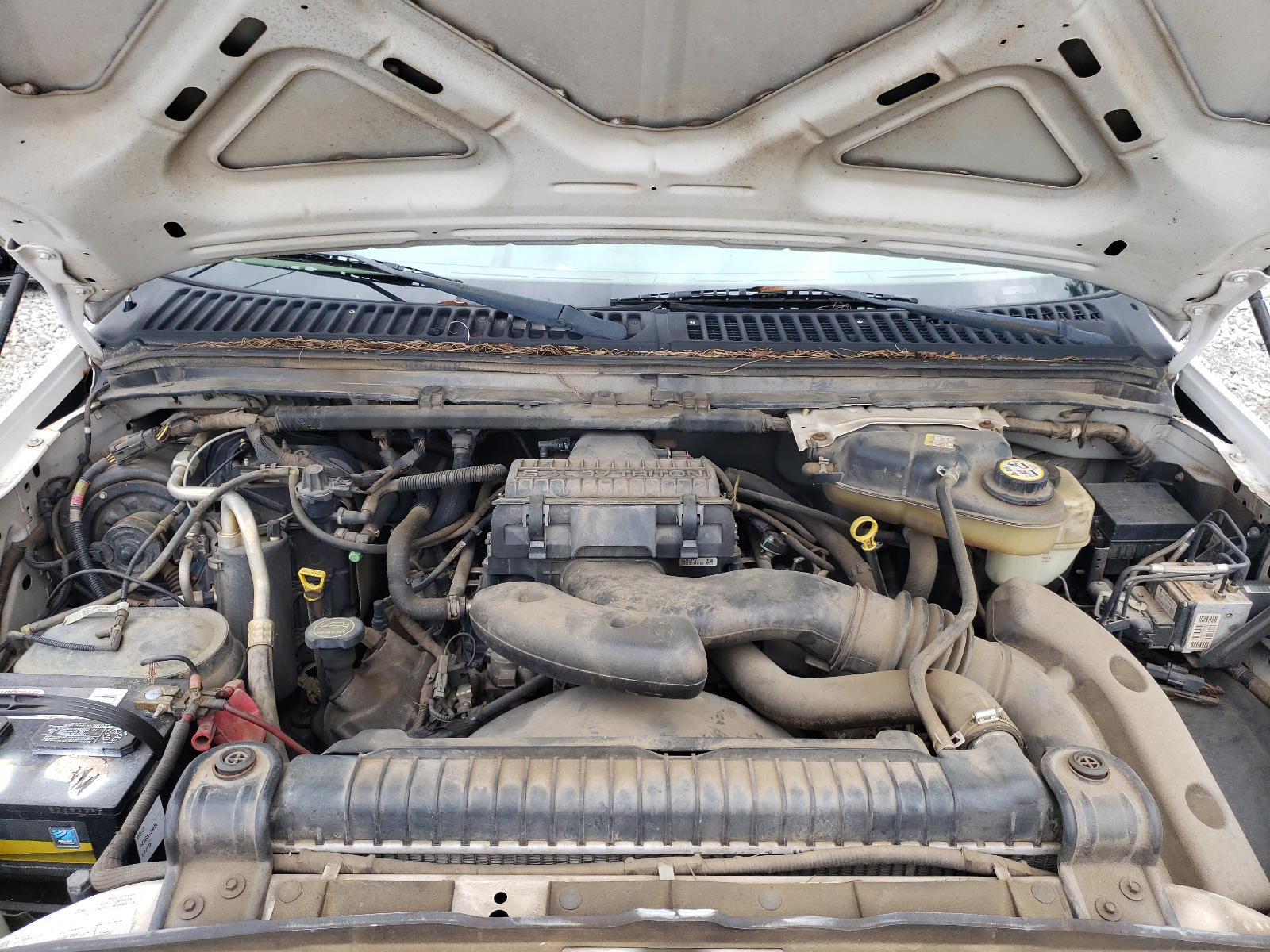 Photo 7 from auction – 2005 FORD F250 SUPER with VIN 1FTNF20535EA47674