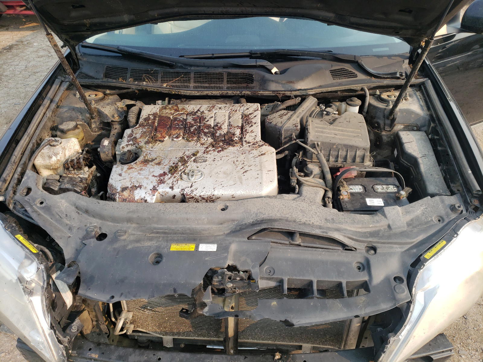 Photo 7 from auction – 2011 TOYOTA AVALON BAS with VIN 4T1BK3DBXBU437480