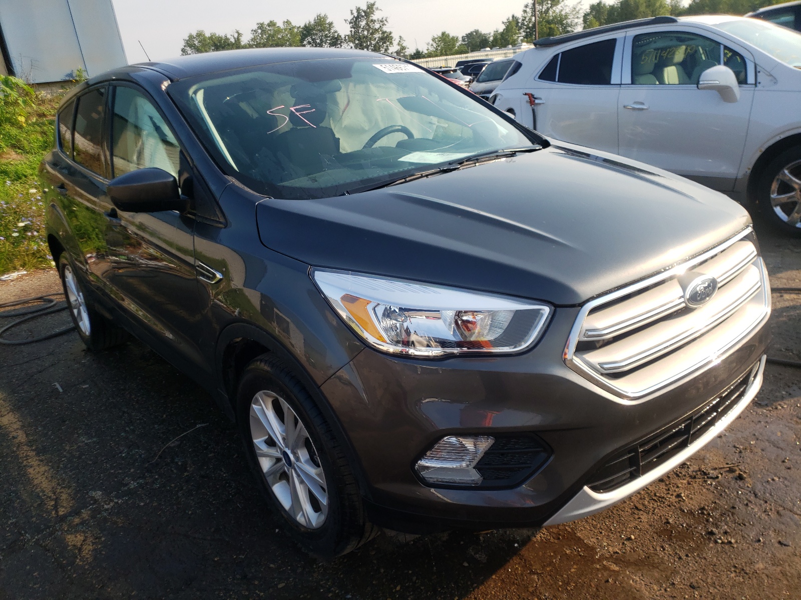 FORD ESCAPE SE 2019 with VIN 1FMCU9GD1KUA98638 - Photo from auction