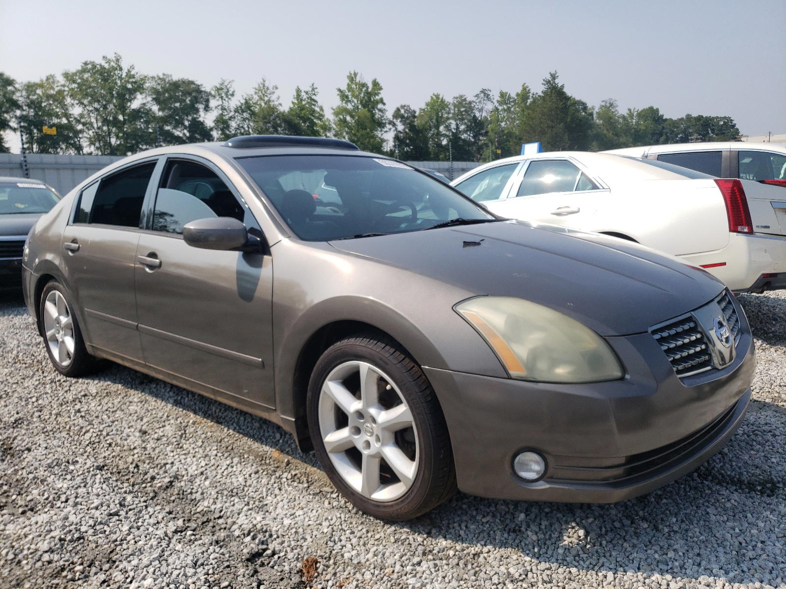 NISSAN MAXIMA SE 2005 with VIN 1N4BA41E85C854138 - Photo from auction