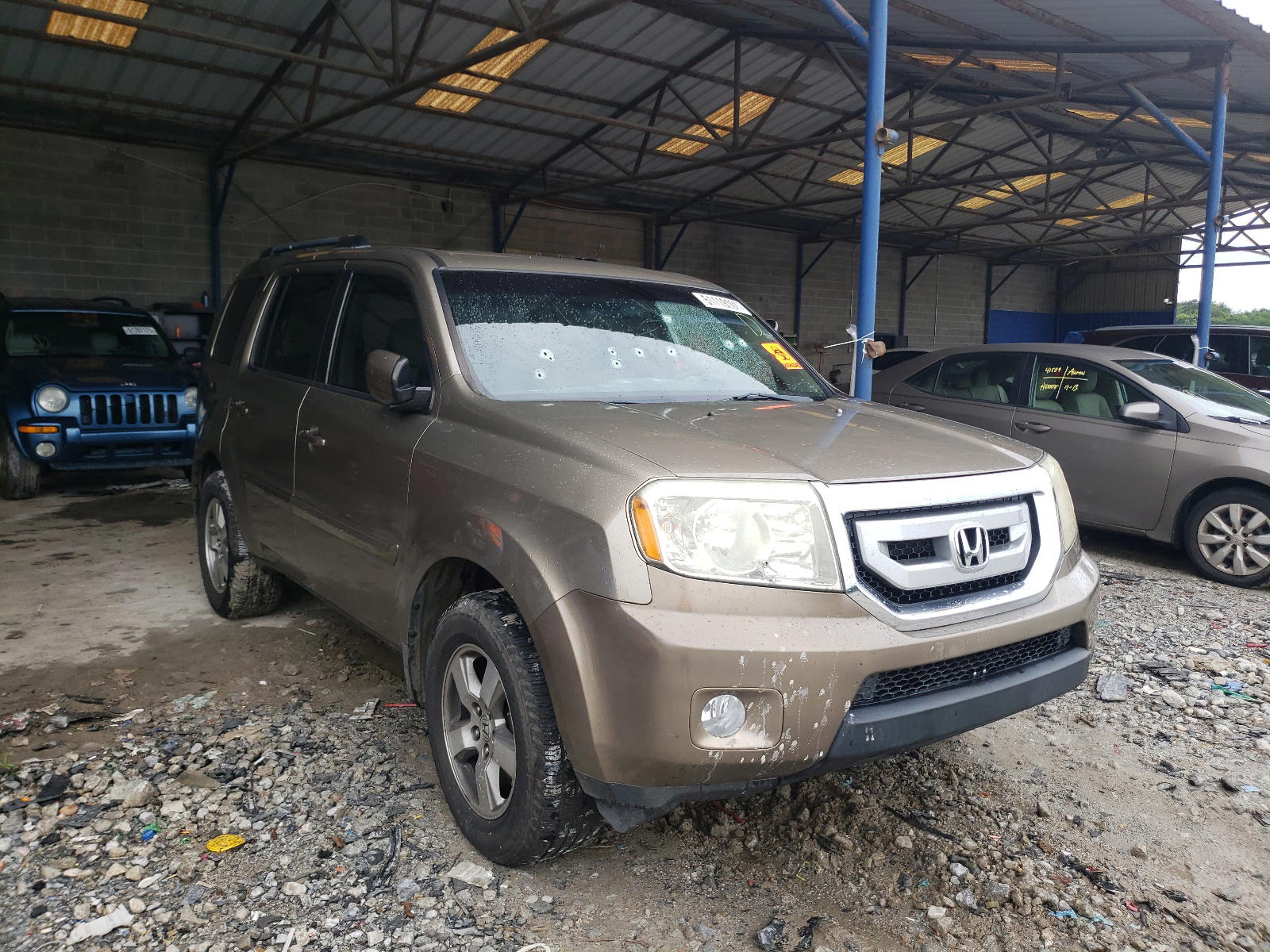 HONDA PILOT EX 2009 with VIN 5FNYF38499B025293 - Photo from auction