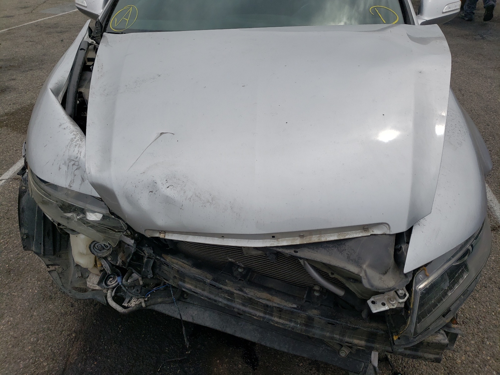 Photo 7 from auction – 2008 ACURA TL TYPE S with VIN 19UUA76538A026643