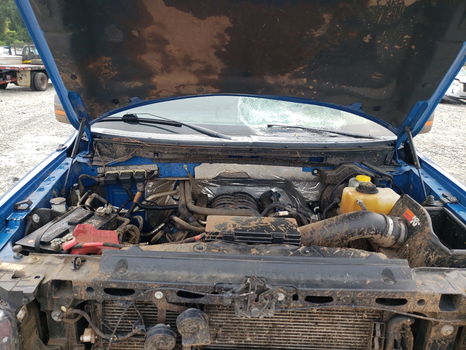 Photo 7 from auction – 2014 FORD F150 SUPER with VIN 1FTFW1EFXEFB44042