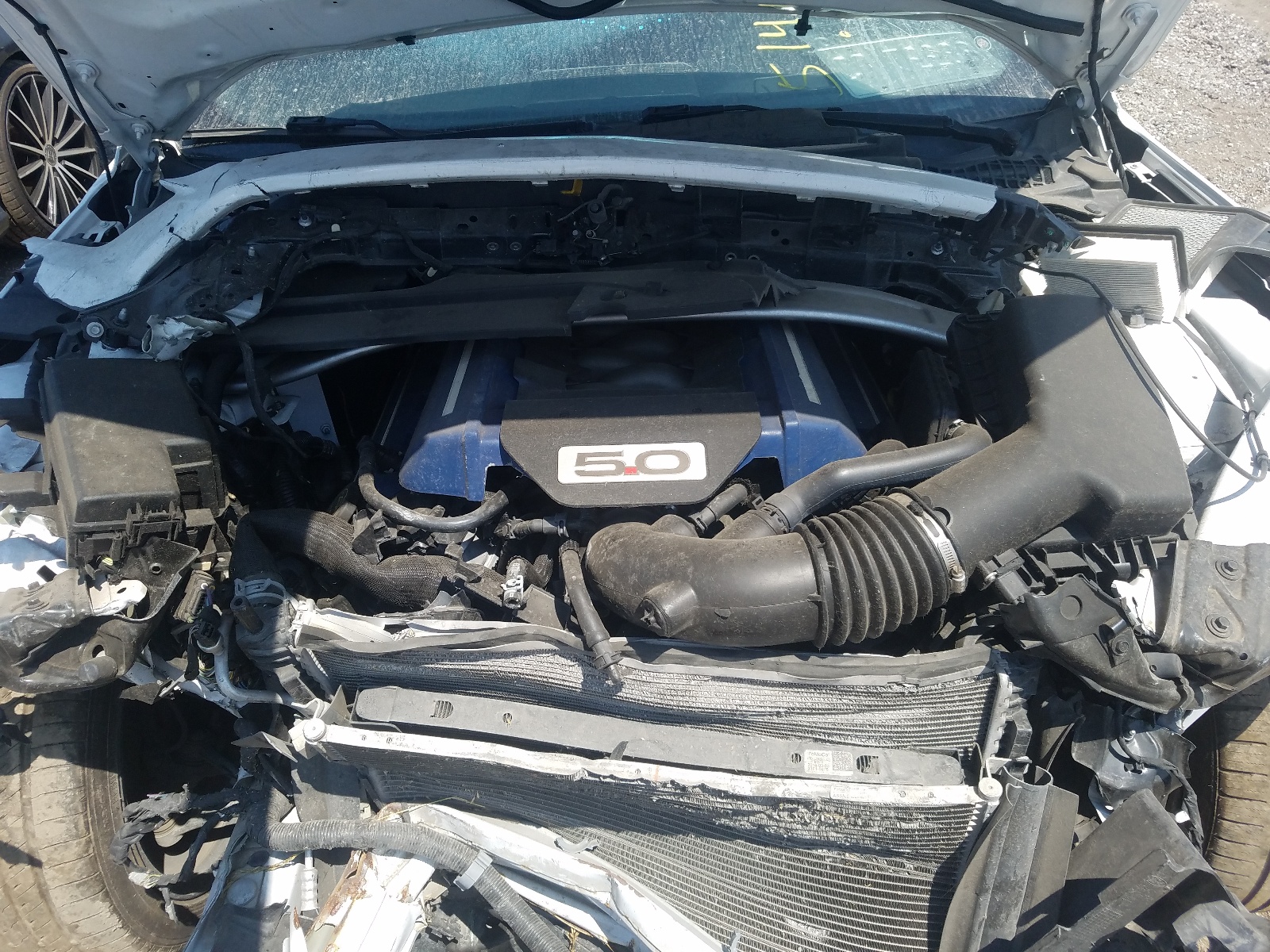 Photo 7 from auction – 2016 FORD MUSTANG GT with VIN 1FA6P8CF2G5303191