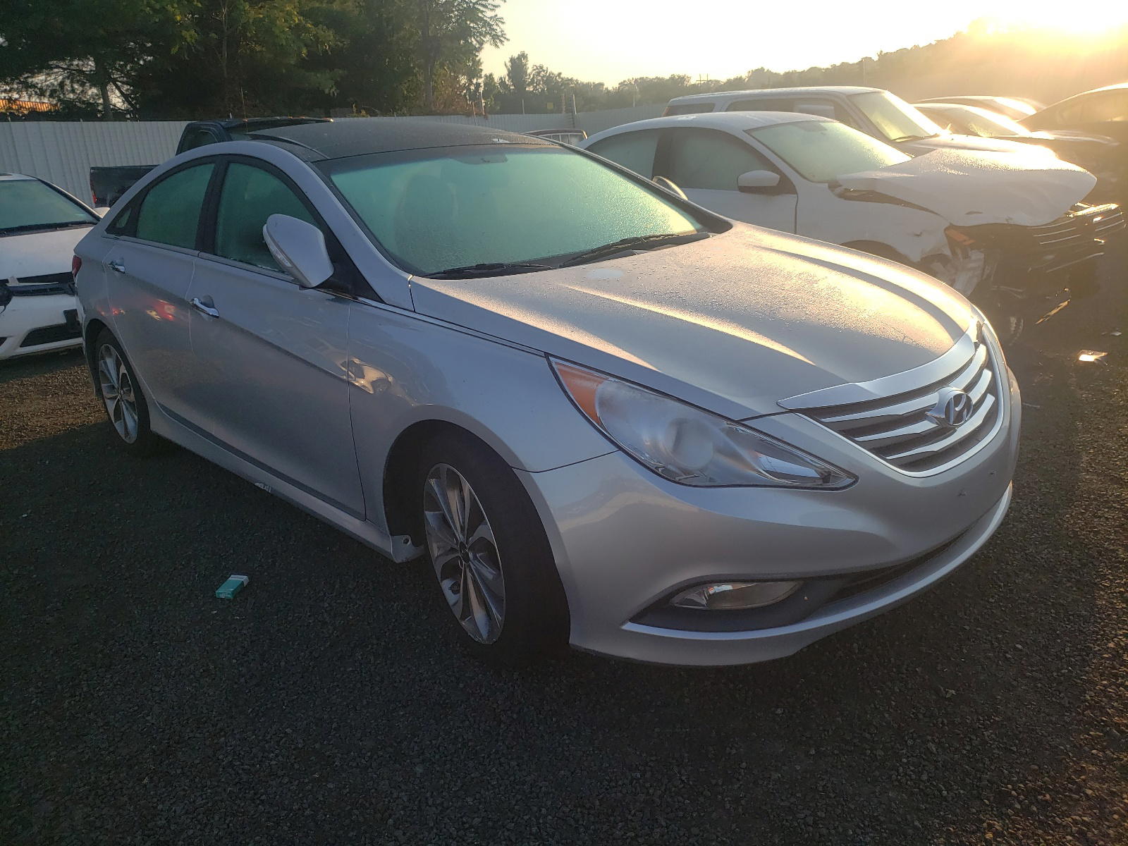 HYUNDAI SONATA SE 2014 with VIN 5NPEC4AB5EH844596 - Photo from auction