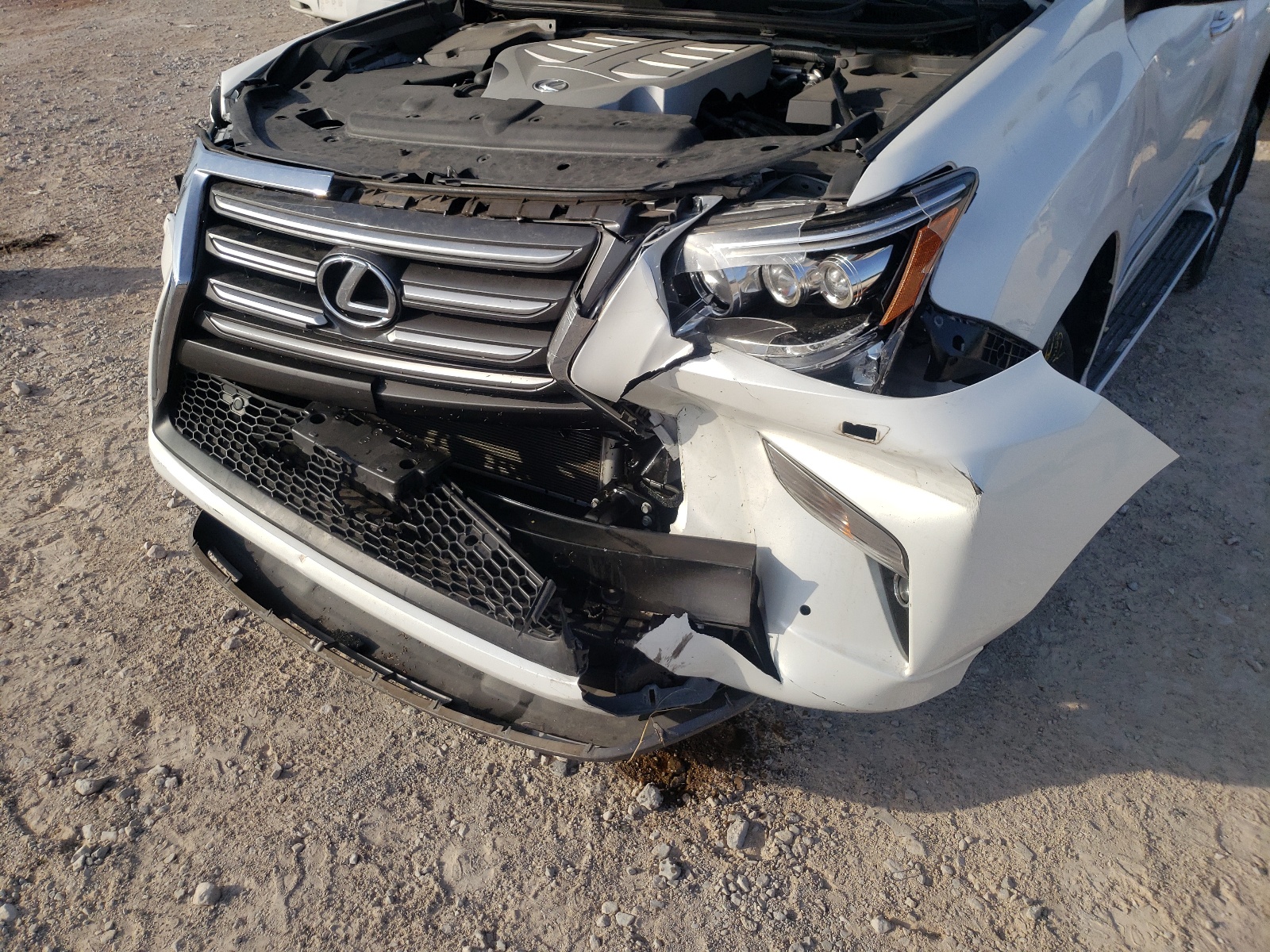 Photo 9 from auction – 2019 LEXUS GX 460 with VIN JTJBM7FX7K5213931